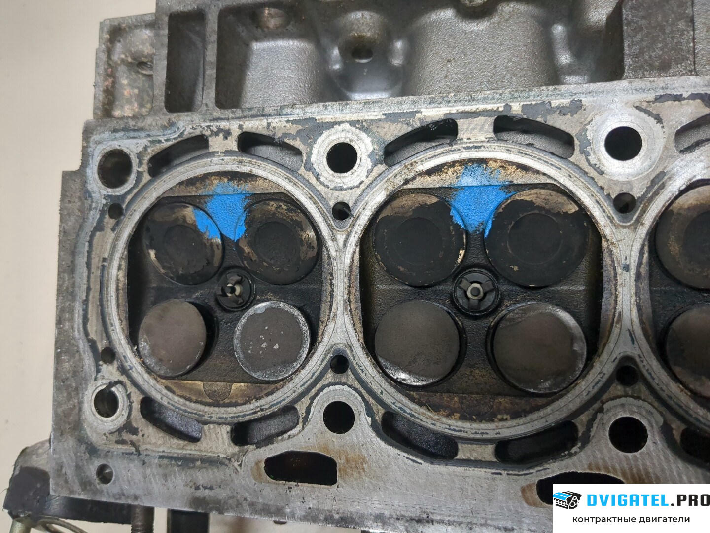 Головка блока цилиндров (ГБЦ) Volkswagen Golf 4 1997 - 2005 AXP 1.4 л., Бензин, Инжектор, артикул 9167627