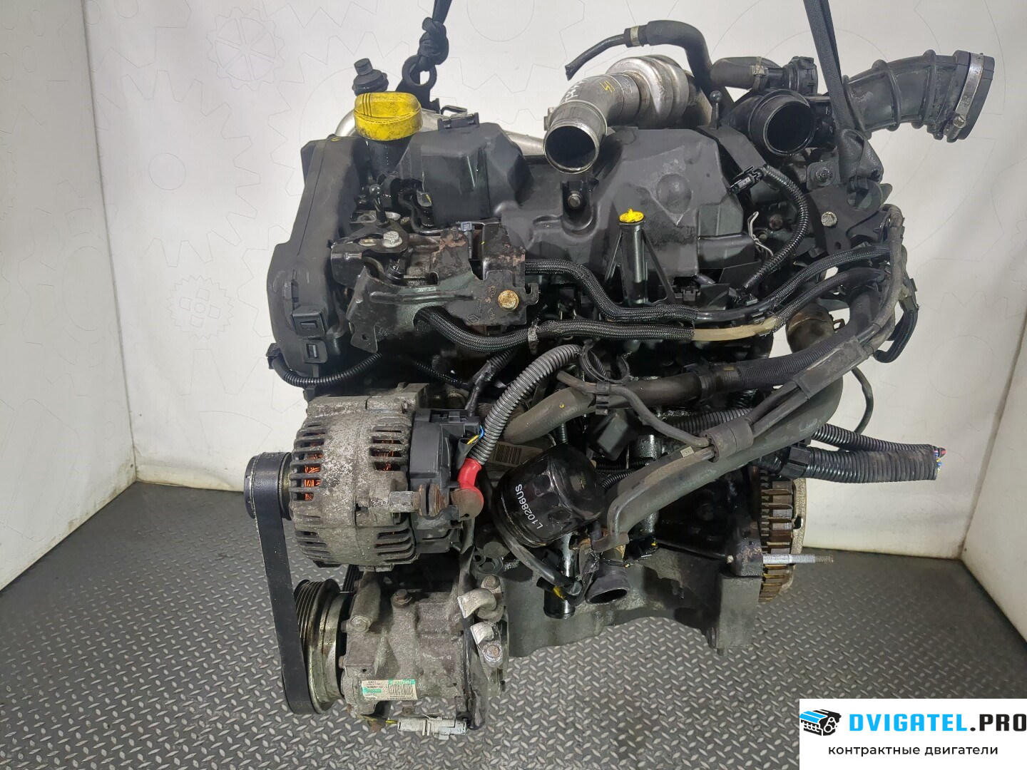 Двигатель Nissan Note E11 2006 - 2013 K9K 1.5 л., Дизель, DCI, артикул 8577093