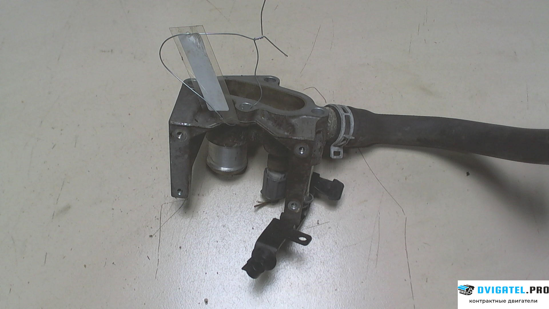 Двигатель Ford Focus 2 2008 - 2011 SHDA, SHDC 1.6 л., Бензин, Инжектор, артикул 7304807