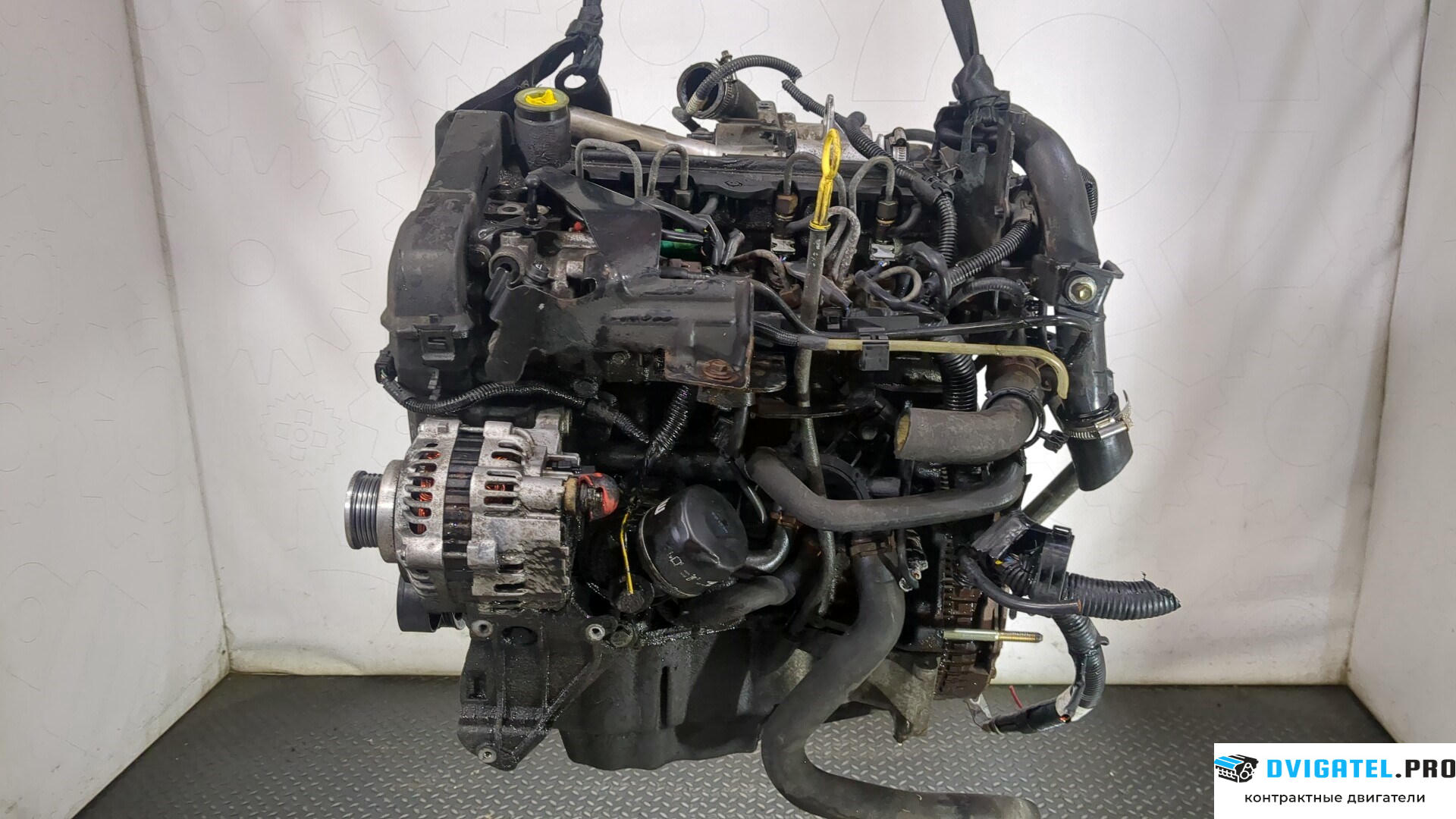 Двигатель Nissan Micra K12E 2003 - 2010 K9K 1.5 л., Дизель, DCI, артикул 9260457