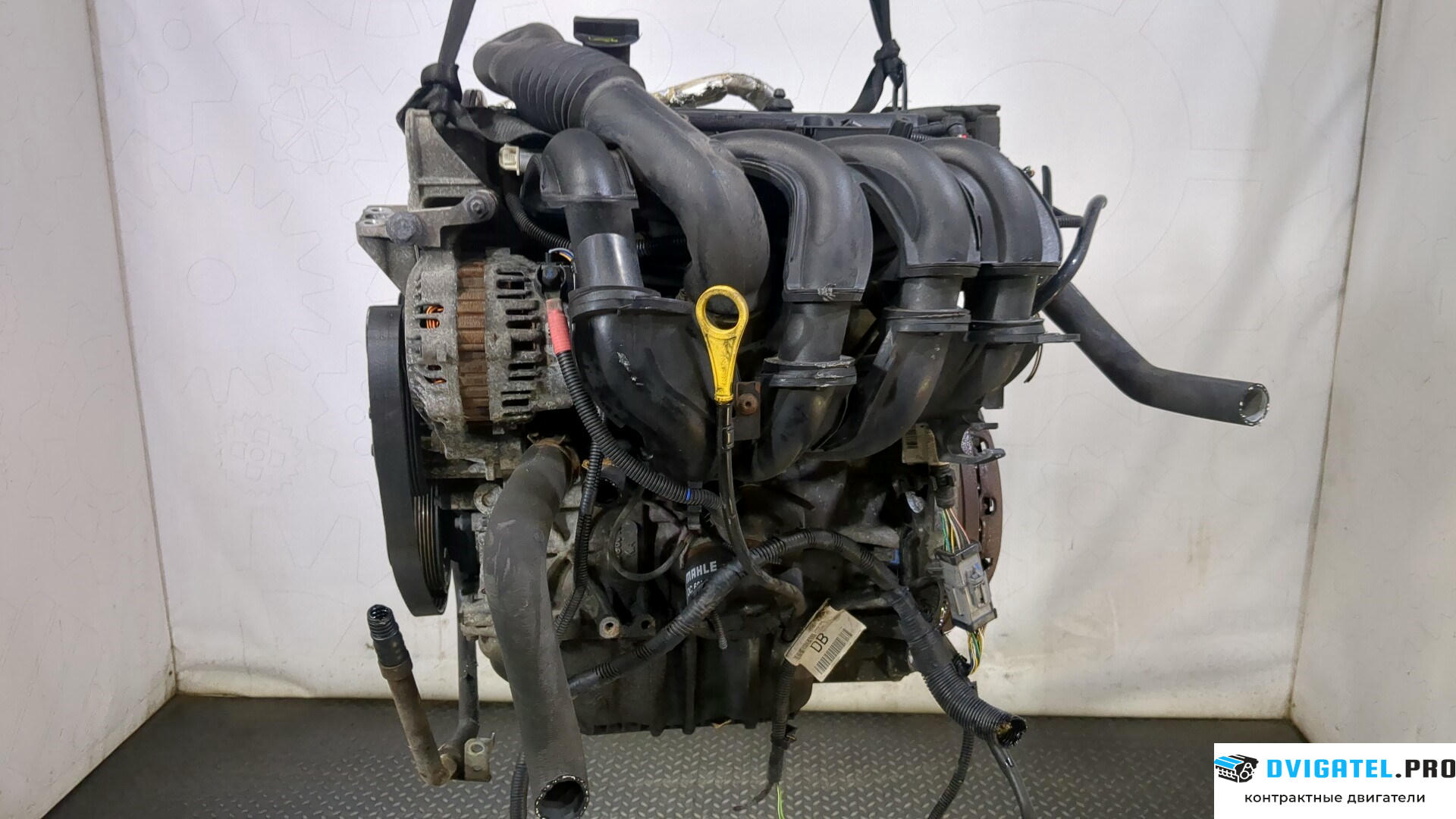 Двигатель Ford Fusion 2002 - 2012 FYJA, FYJB, FYJC 1.6 л., Бензин, Инжектор, артикул 9152191