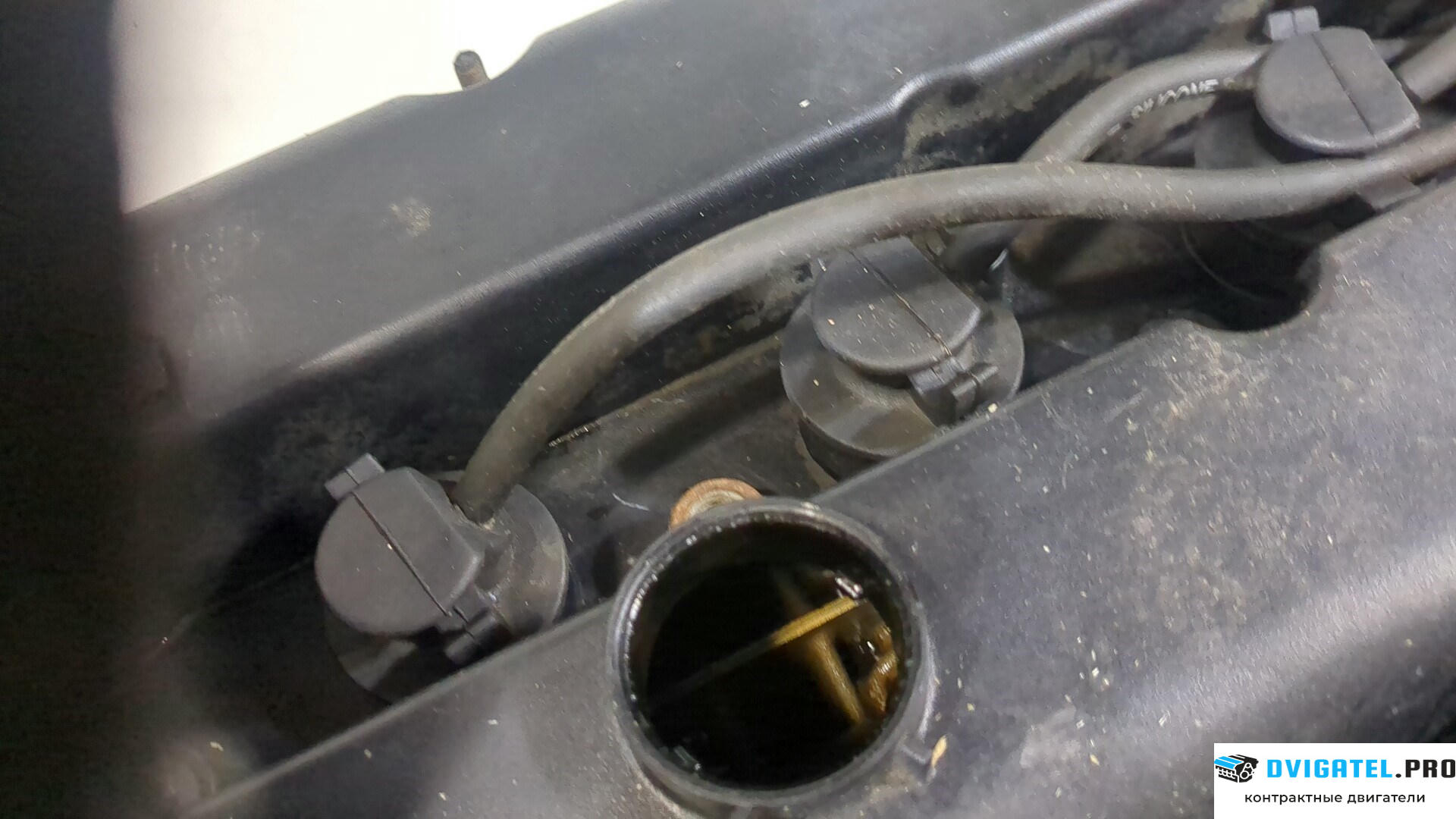Двигатель Ford Focus 2 2008 - 2011 ASDA 1.4 л., Бензин, Инжектор, артикул 8955570