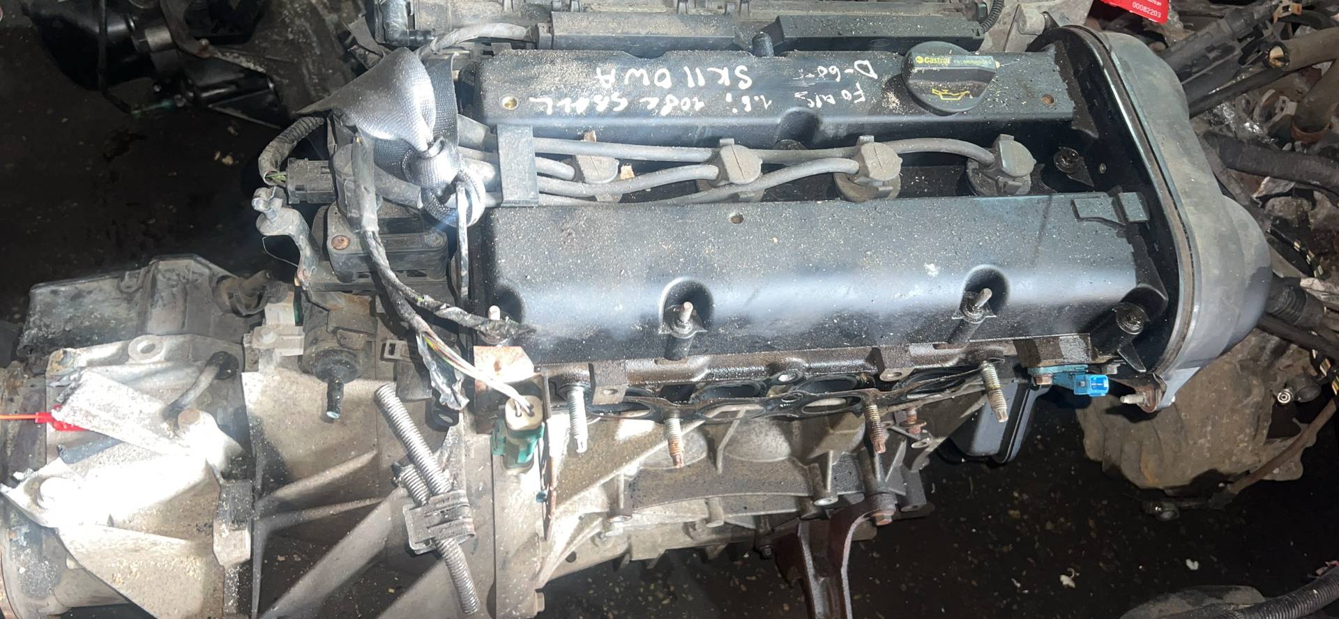 Двигатель SHDC Ford Focus 3 1.6 Бензин