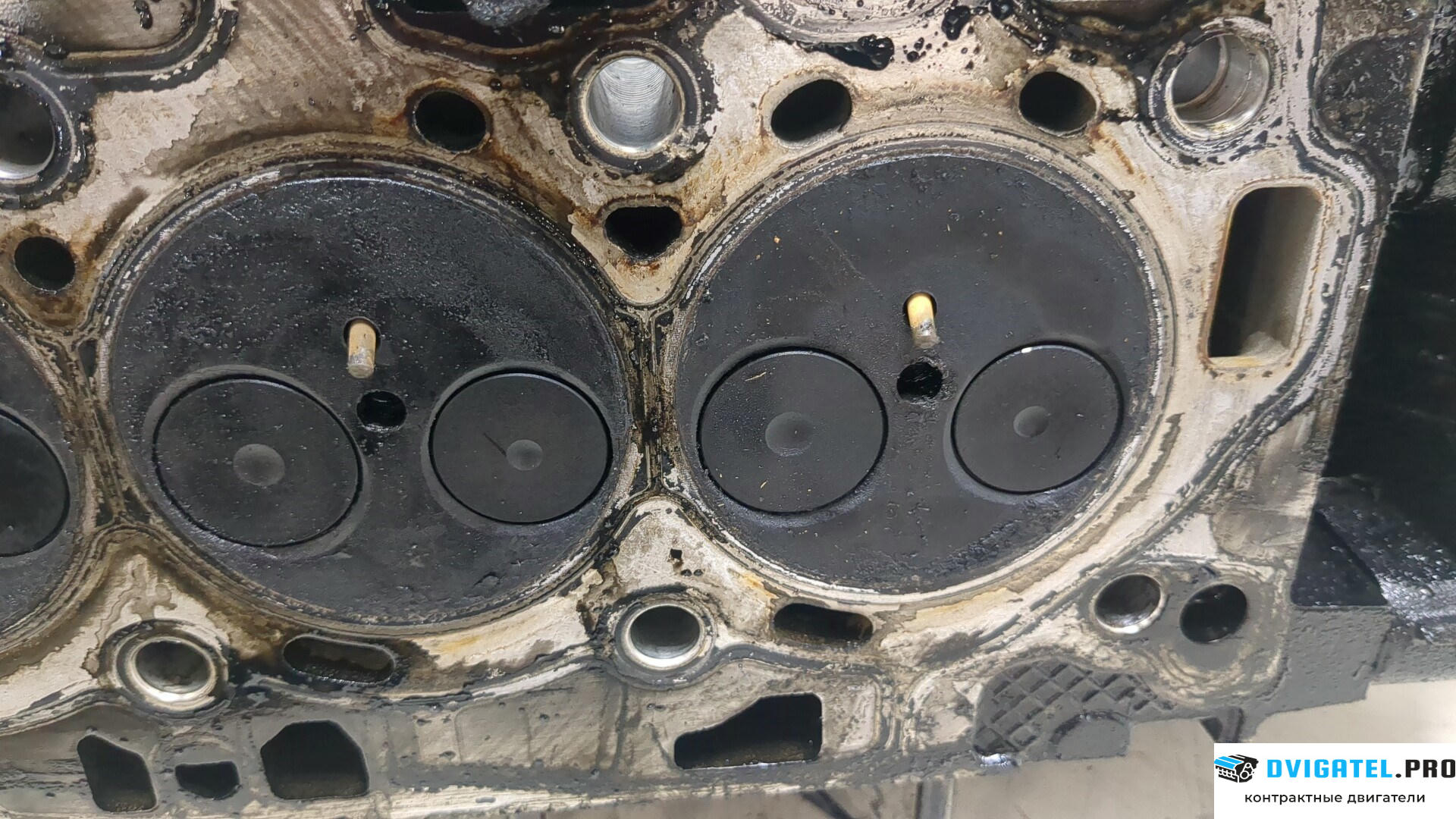 Головка блока цилиндров (ГБЦ) Ford Mondeo 4 2007 - 2015 T1BA, T1BB, T1BC 1.6 л., Дизель, TDCI, артикул 8979374