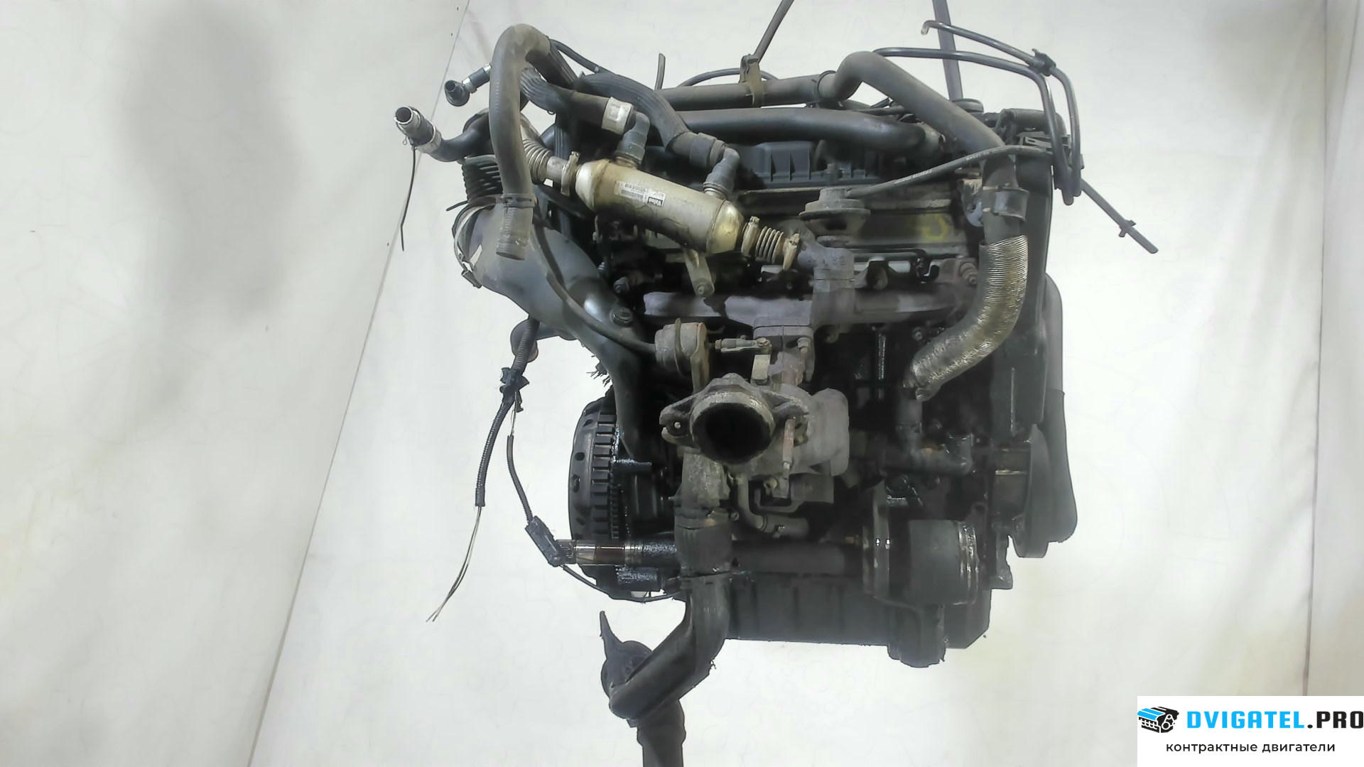 Двигатель Peugeot Expert 1995 - 2007 RHW 2 л., Дизель, HDI, артикул 7502080