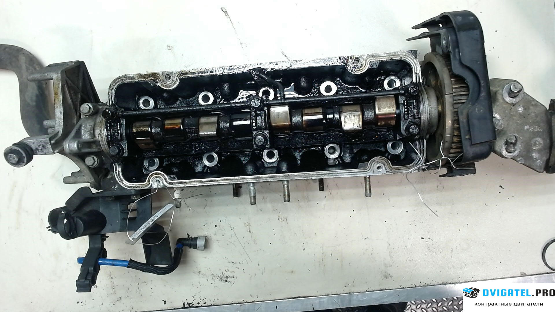 Головка блока цилиндров (ГБЦ) Fiat Panda 2003 - 2012 188 A 4.000 1.2 л., Бензин, Инжектор, артикул 7724780