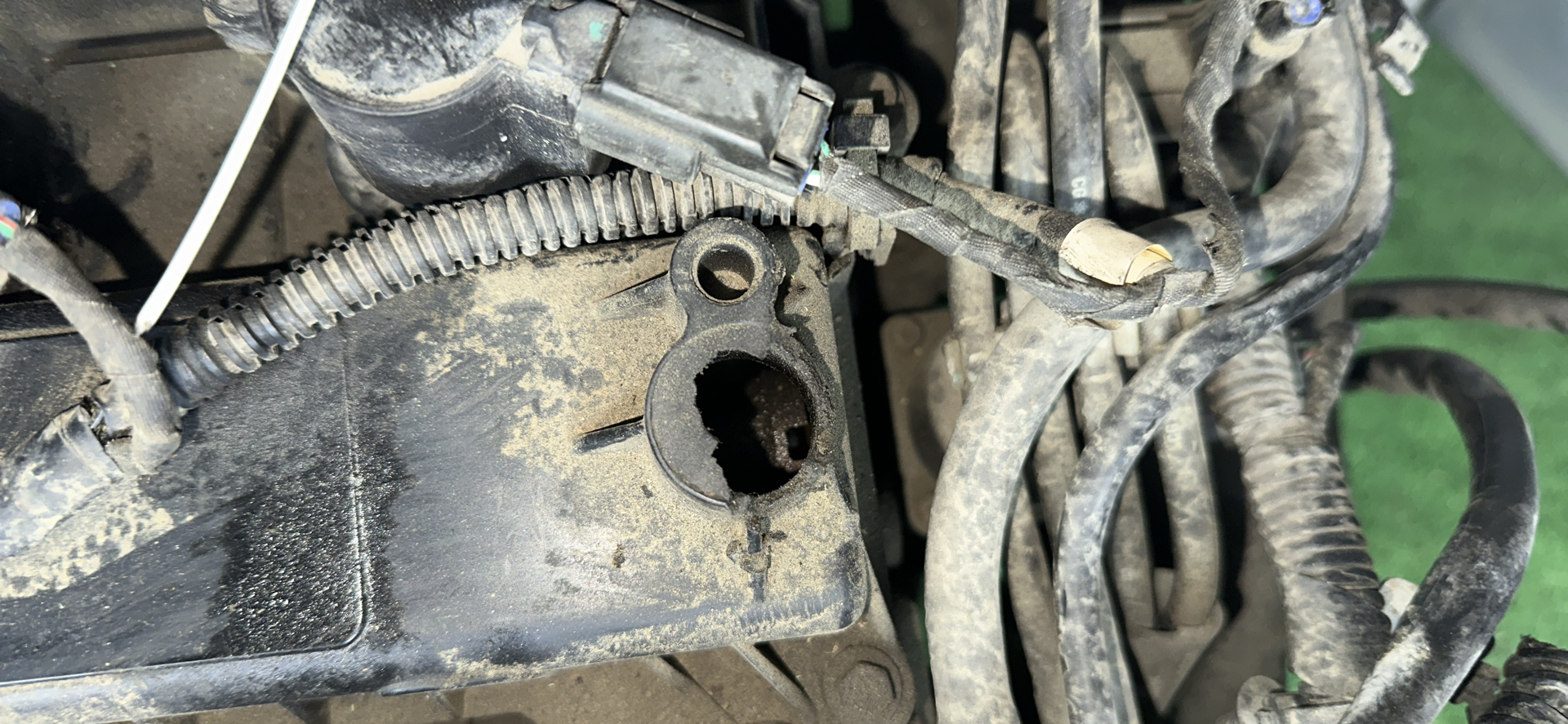 Двигатель AODA Ford Focus 2 restailing 2.0 Бензин