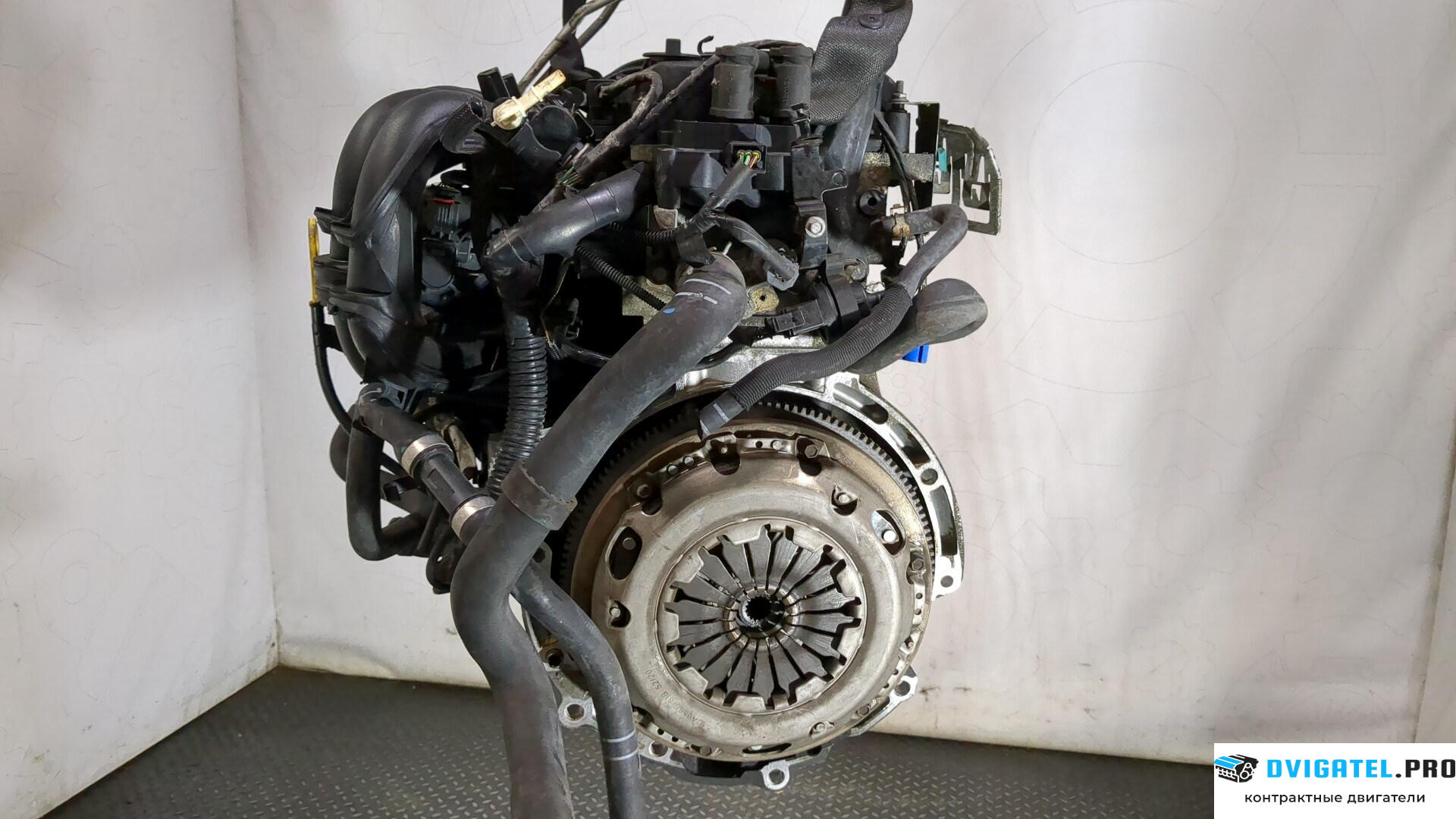 Двигатель Ford Focus 2 2008 - 2011 SHDA, SHDC 1.6 л., Бензин, Инжектор, артикул 9283626