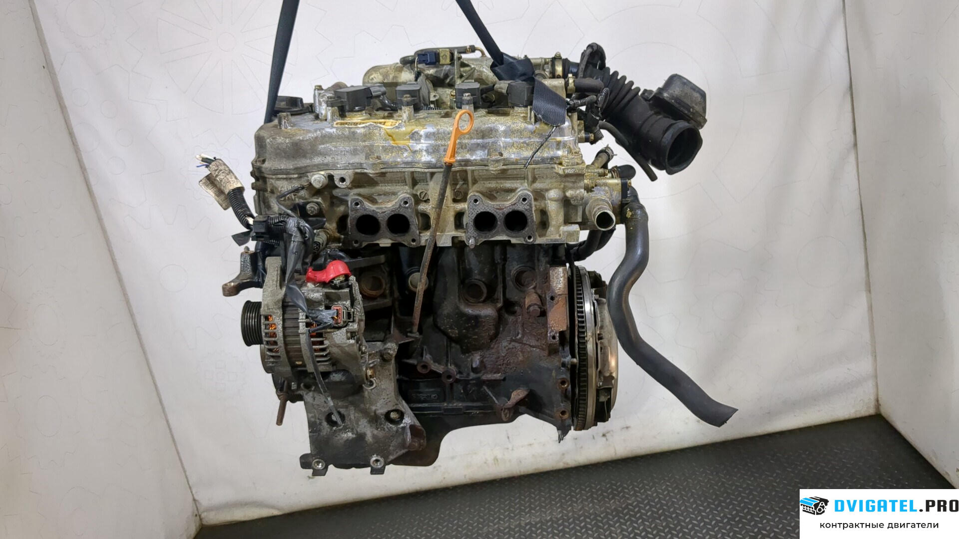 Двигатель Nissan Almera Tino QG18DE 1.8 л., Бензин, Инжектор, артикул 9242609