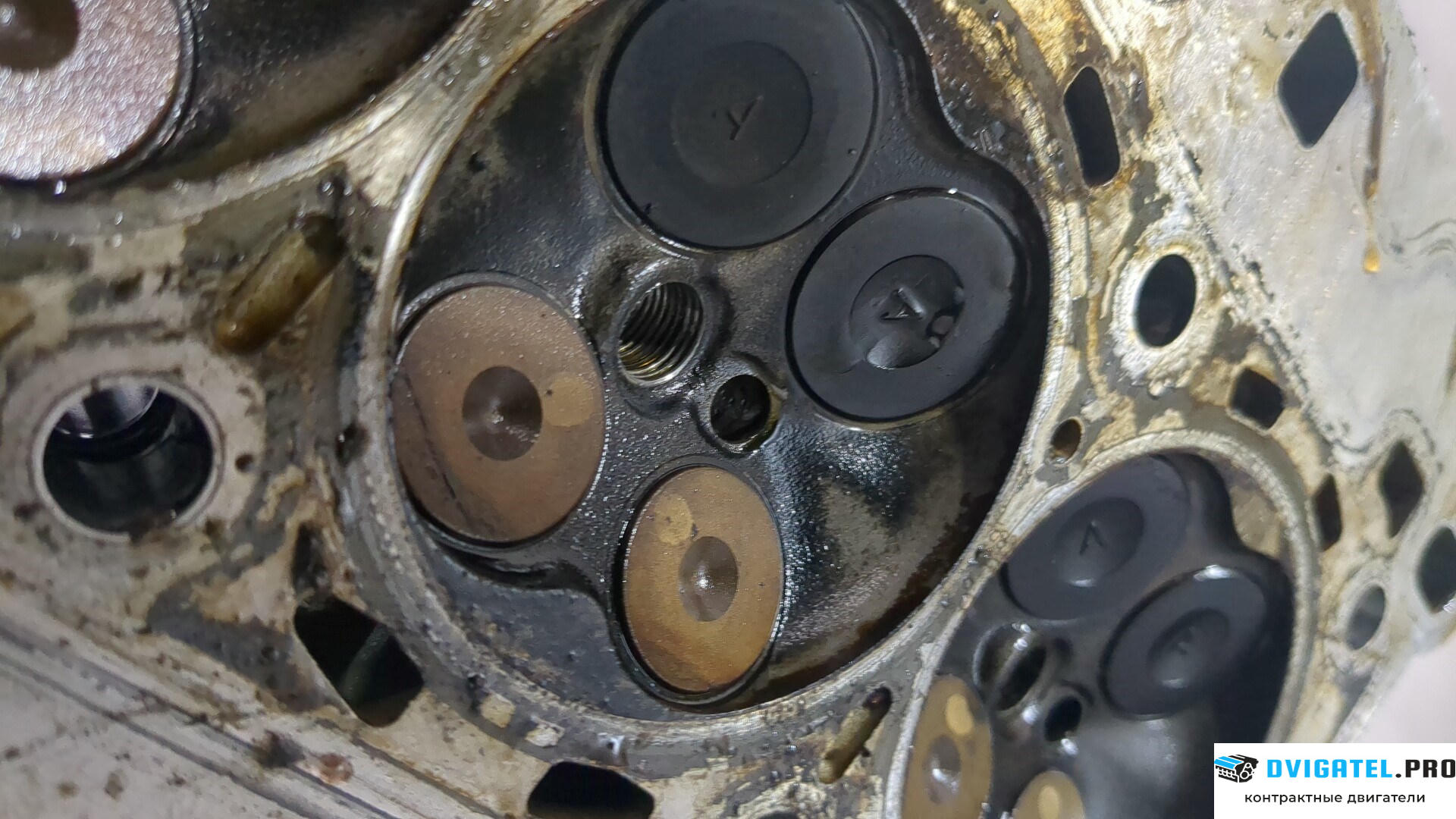 Головка блока цилиндров (ГБЦ) Ford Focus 3 2011 - 2015 M2DA 1 л., Бензин, EcoBoost, артикул 8921706