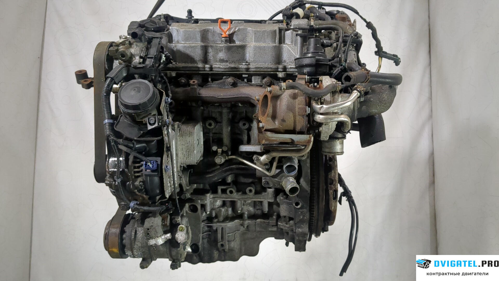 Двигатель Honda CR-V 2007 - 2012 N22B3 2.2 л., Дизель, Турбо, артикул 8833100