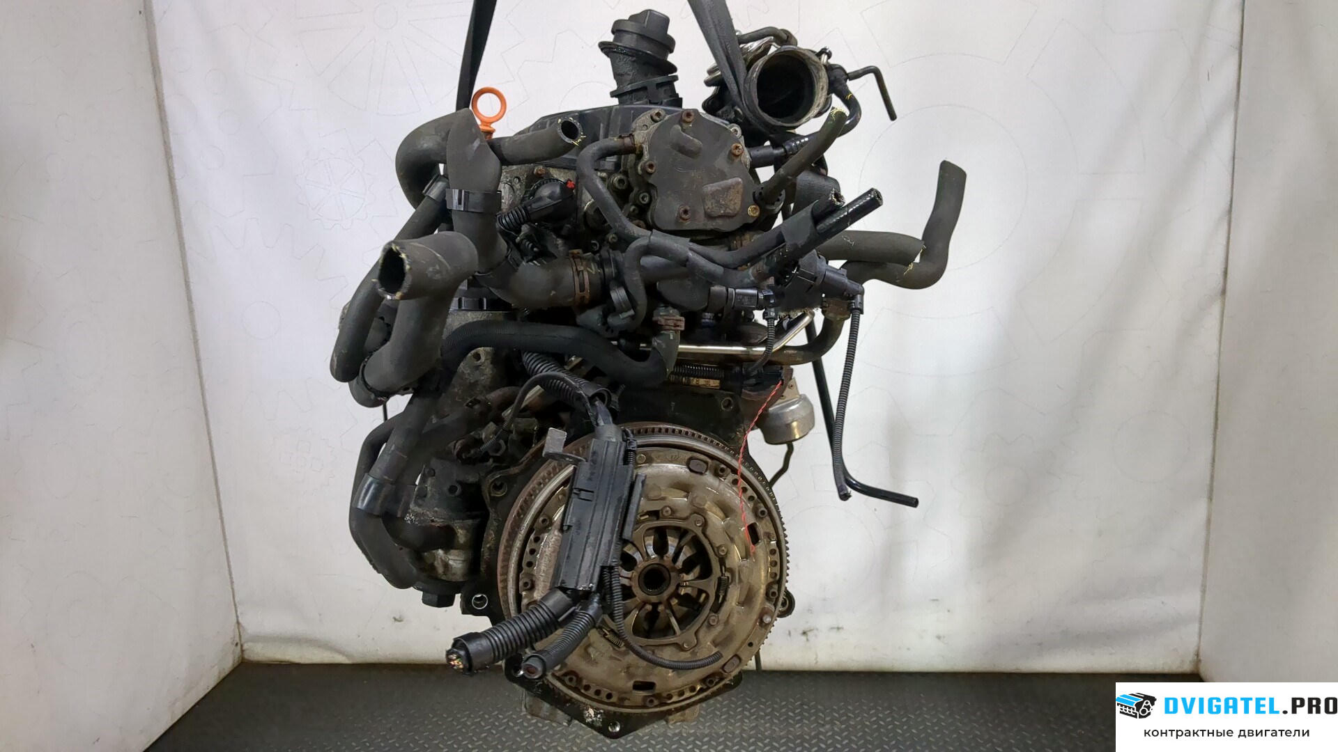 Двигатель Volkswagen Transporter 5 2003 - 2009 AXB 1.9 л., Дизель, TDI, артикул 9213218