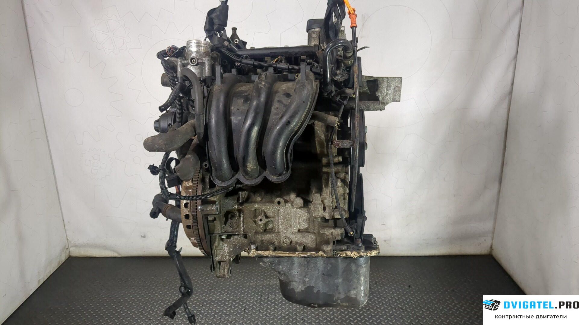 Двигатель Volkswagen Polo 2005 - 2009 BMD 1.2 л., Бензин, Инжектор, артикул 8862482