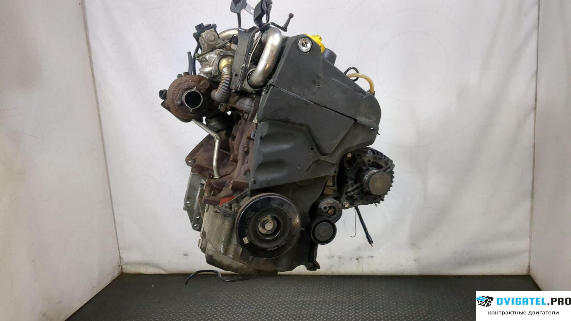 Двигатель Renault Scenic 2003 - 2009 K9K 732 1.5 л., Дизель, DCI, артикул 9235365