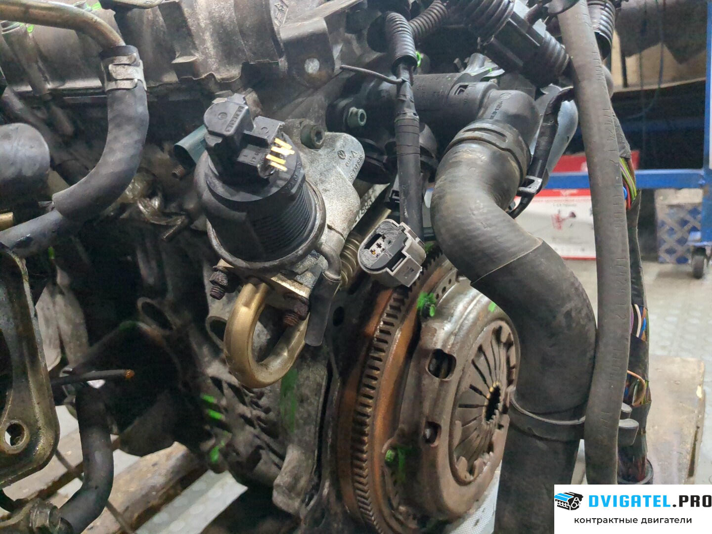Двигатель Volkswagen Polo 2001 - 2005 BBY 1.4 л., Бензин, Инжектор, артикул 8122435