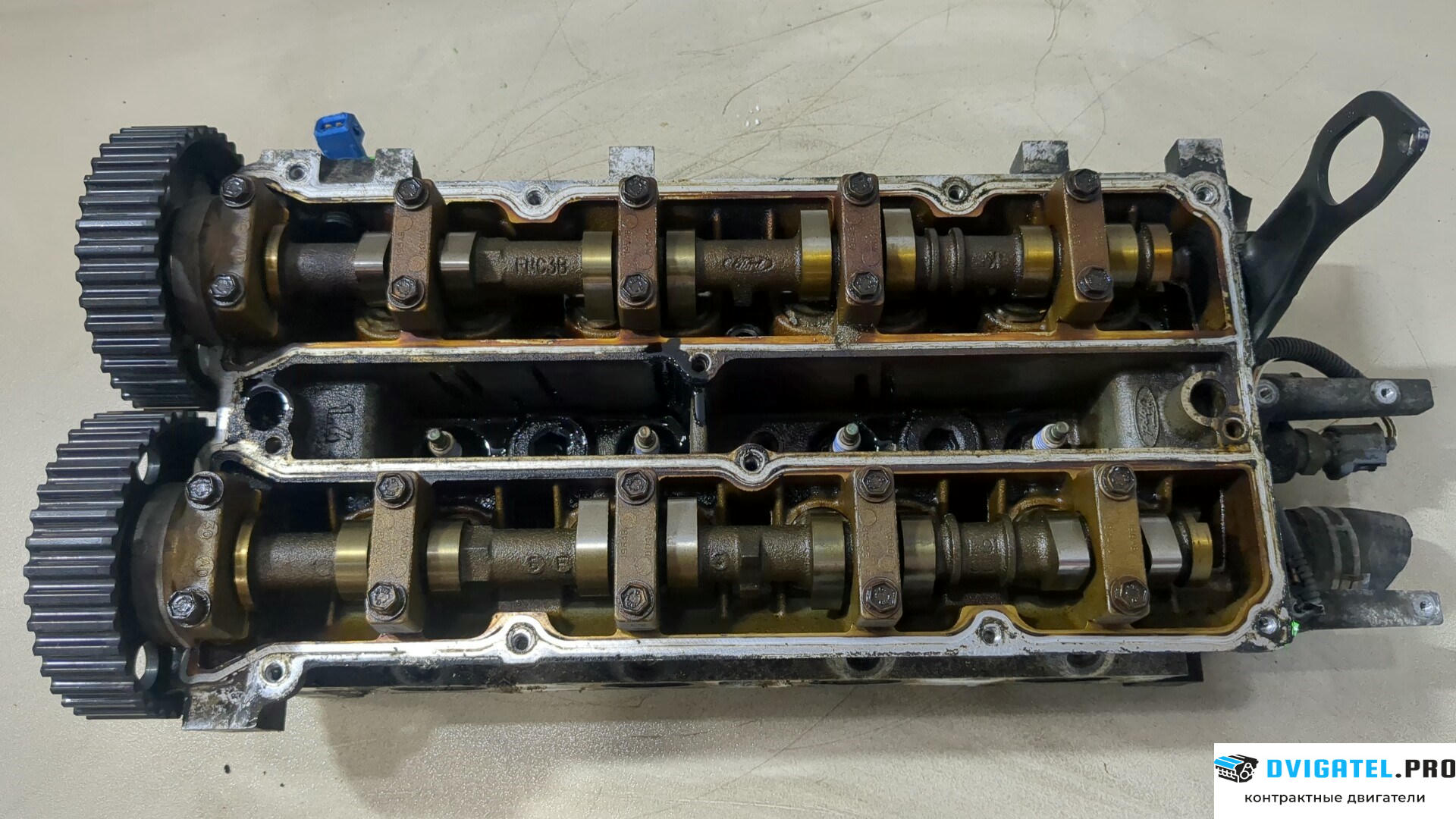 Головка блока цилиндров (ГБЦ) Ford Fusion 2002 - 2012 FXJA, FXJB, FXJC 1.4 л., Бензин, Инжектор, артикул 9154578