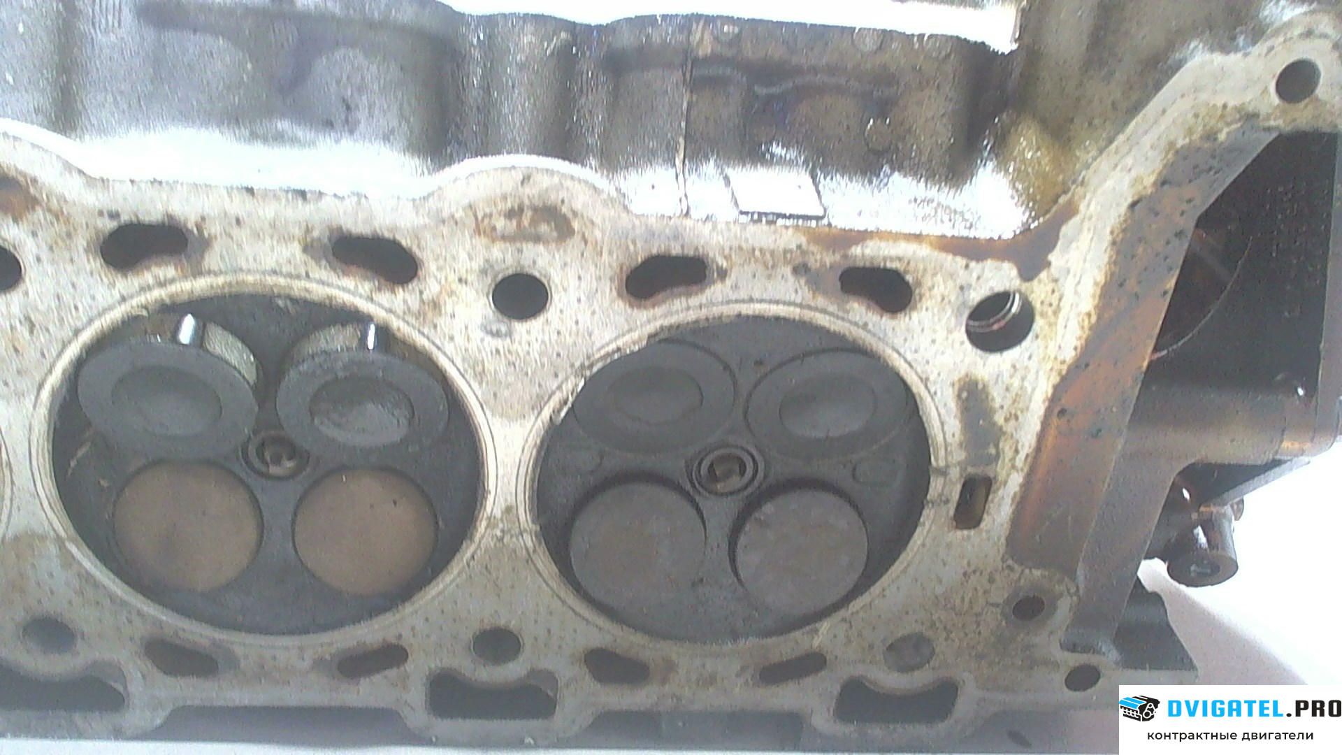 Головка блока цилиндров (ГБЦ) Jaguar XK 1996 - 2004 CE,CC,NB,NC 4.0 л., Бензин, Инжектор, артикул 6447588