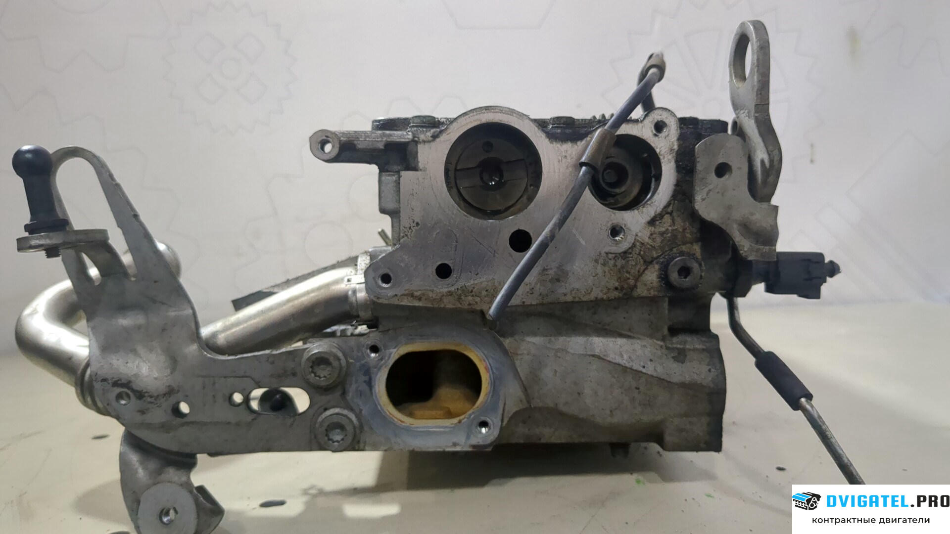 Головка блока цилиндров (ГБЦ) Seat Leon 2 2009 - 2012 CAYC 1.6 л., Дизель, TDI, артикул 8906369