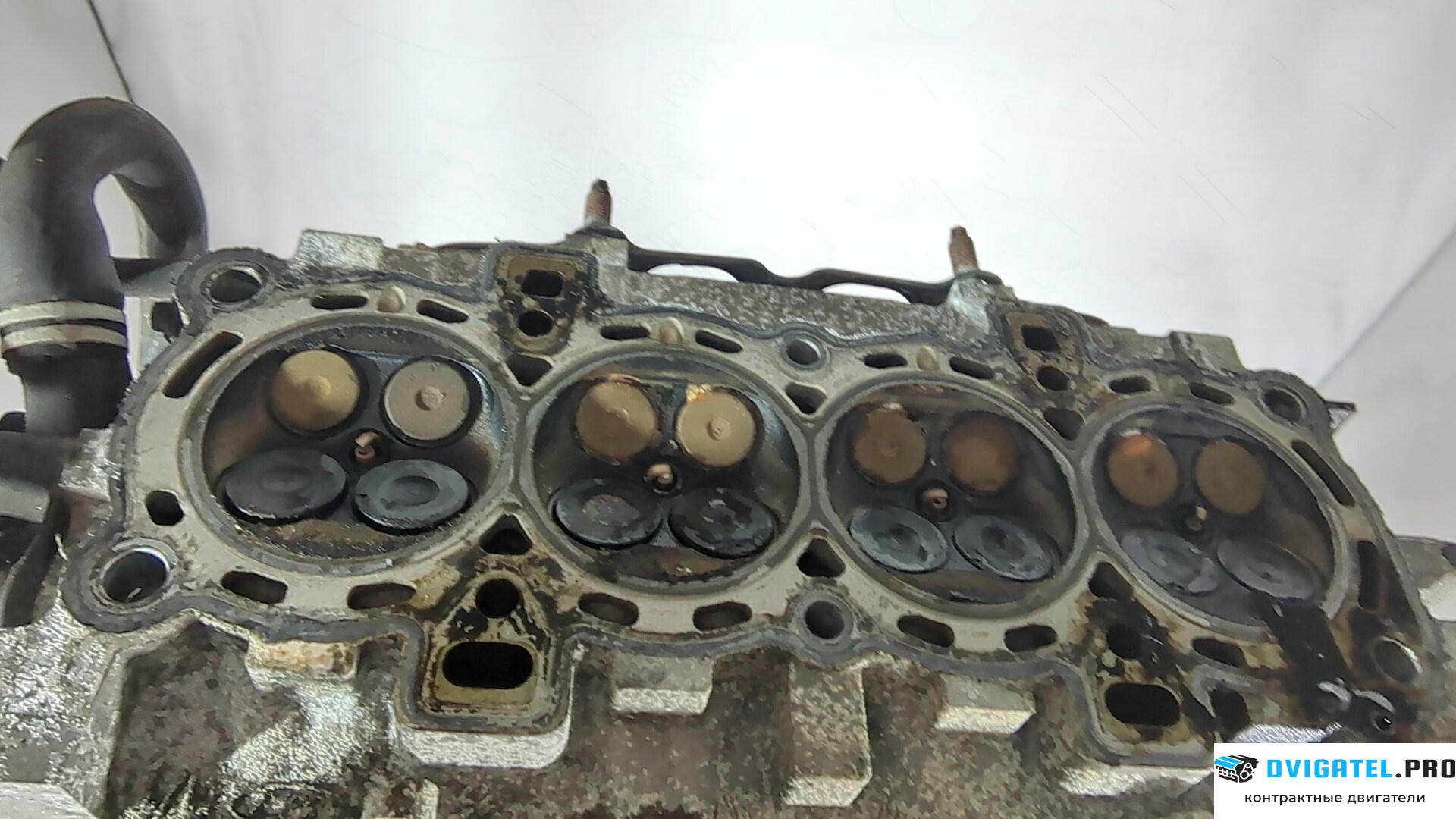 Головка блока цилиндров (ГБЦ) Ford C-Max 2002 - 2010 SHDA, SHDB, SHDC 1.6 л., Бензин, Инжектор, артикул 8896755