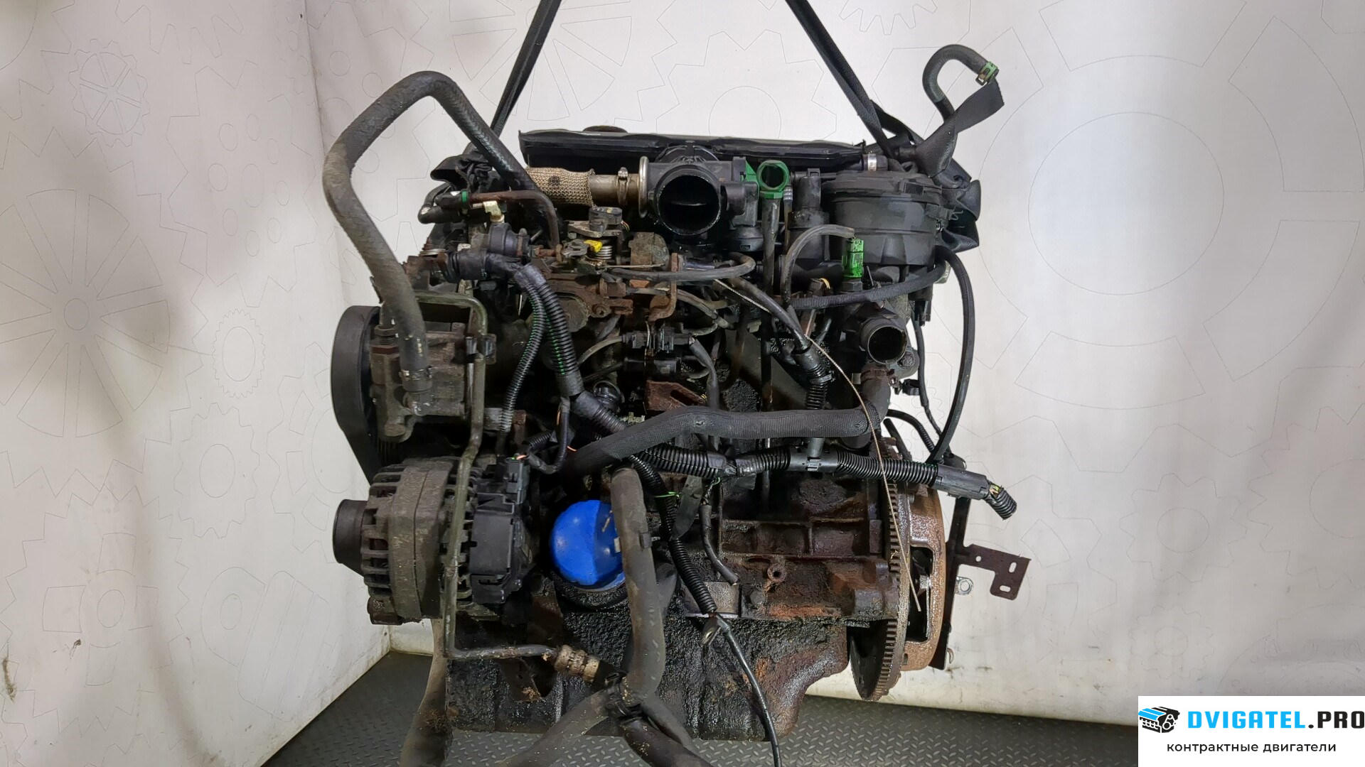 Двигатель Peugeot Expert 1995 - 2007 WJY 1.9 л., Дизель, Дизель, артикул 9280681