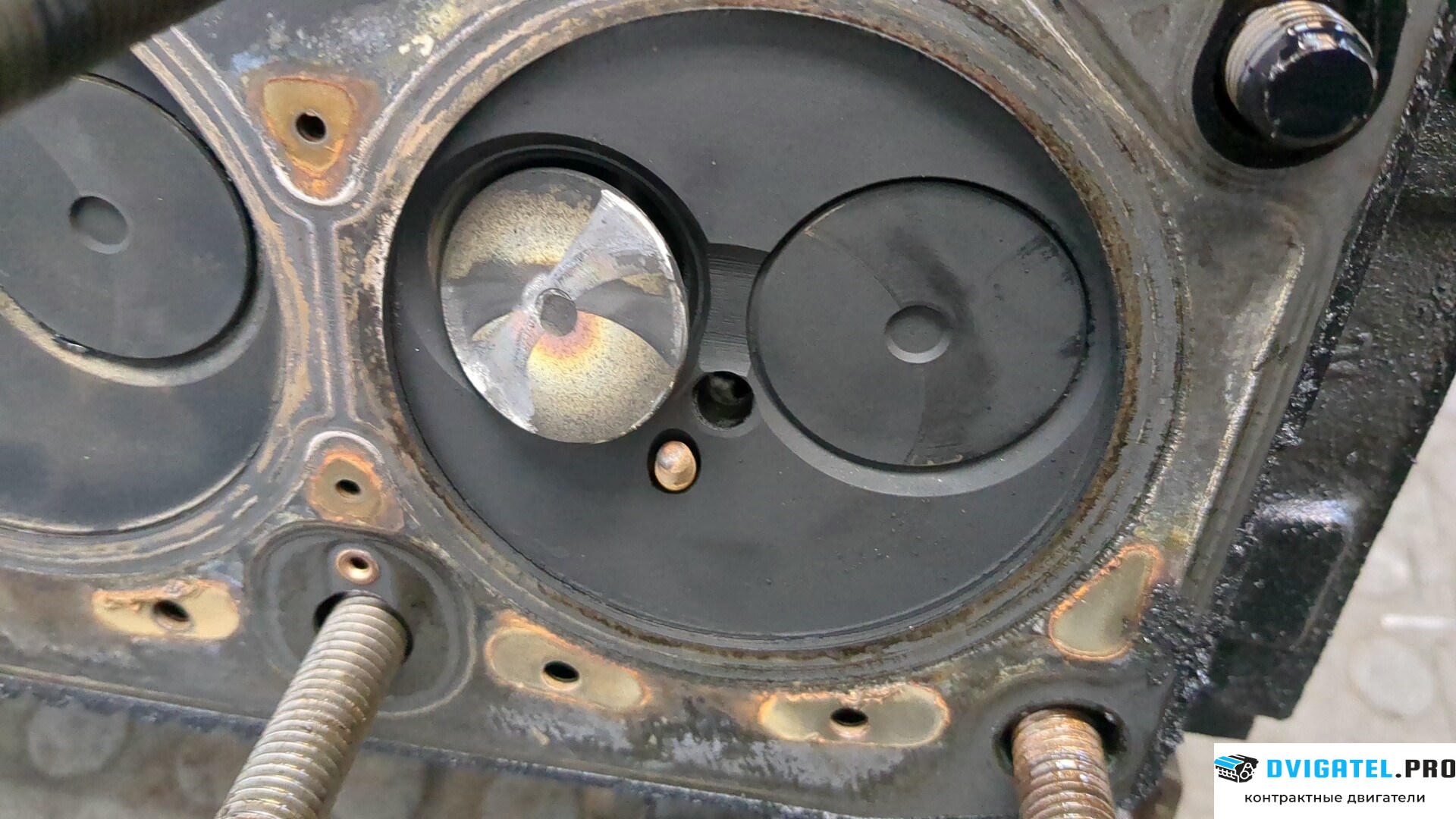 Головка блока цилиндров (ГБЦ) Ford S-Max 2006 - 2010 QYWA 1.8 л., Дизель, артикул 8874043