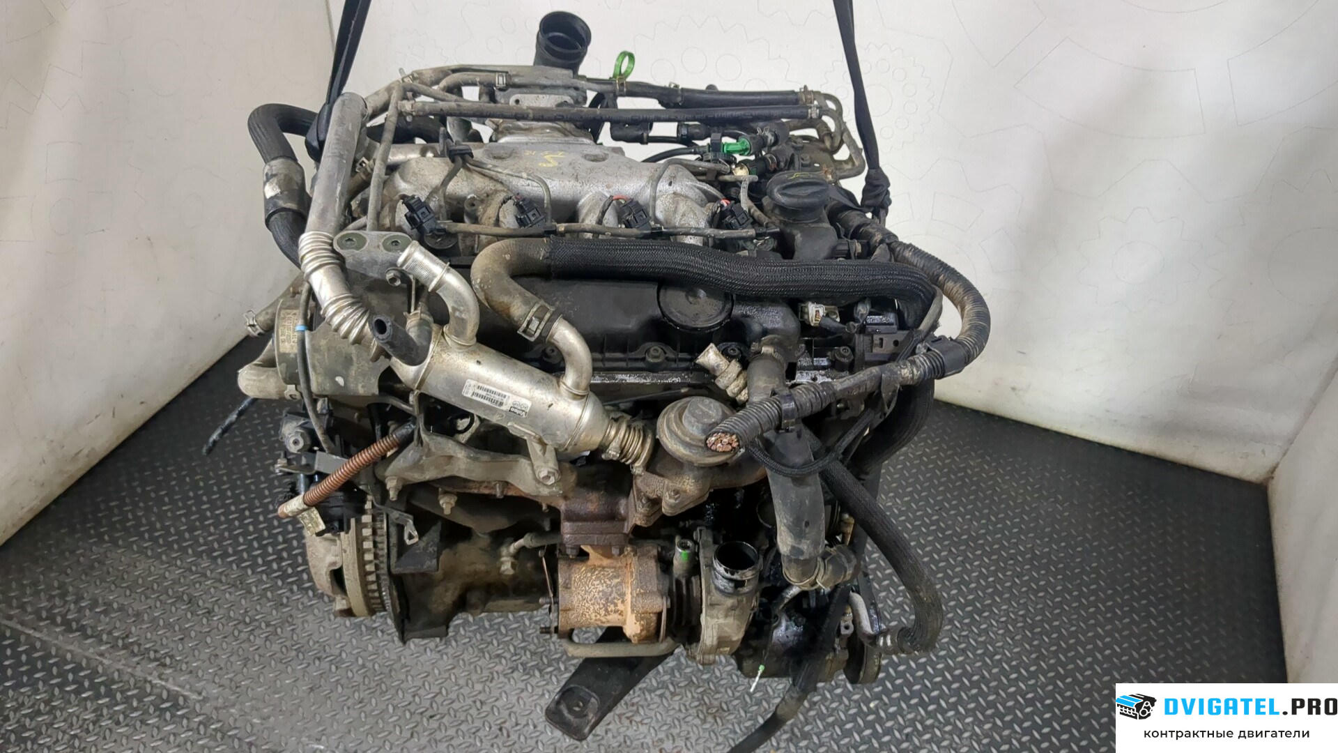 Двигатель Suzuki Grand Vitara 1997 - 2005 RHW 2 л., Дизель, Турбо, артикул 8858575