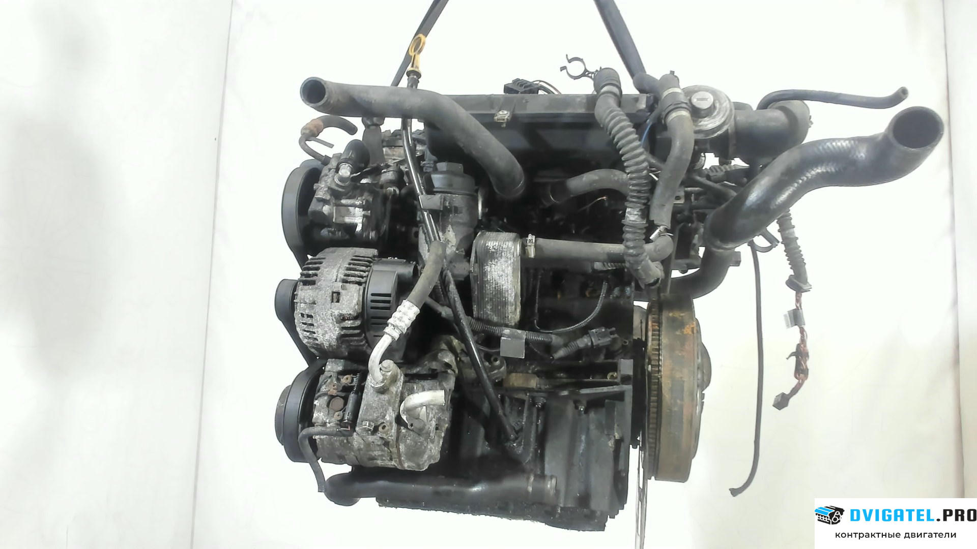 Двигатель Land Rover Freelander 1 1998 - 2007 TD4 204D3 2 л., Дизель, Турбо, артикул 7100265