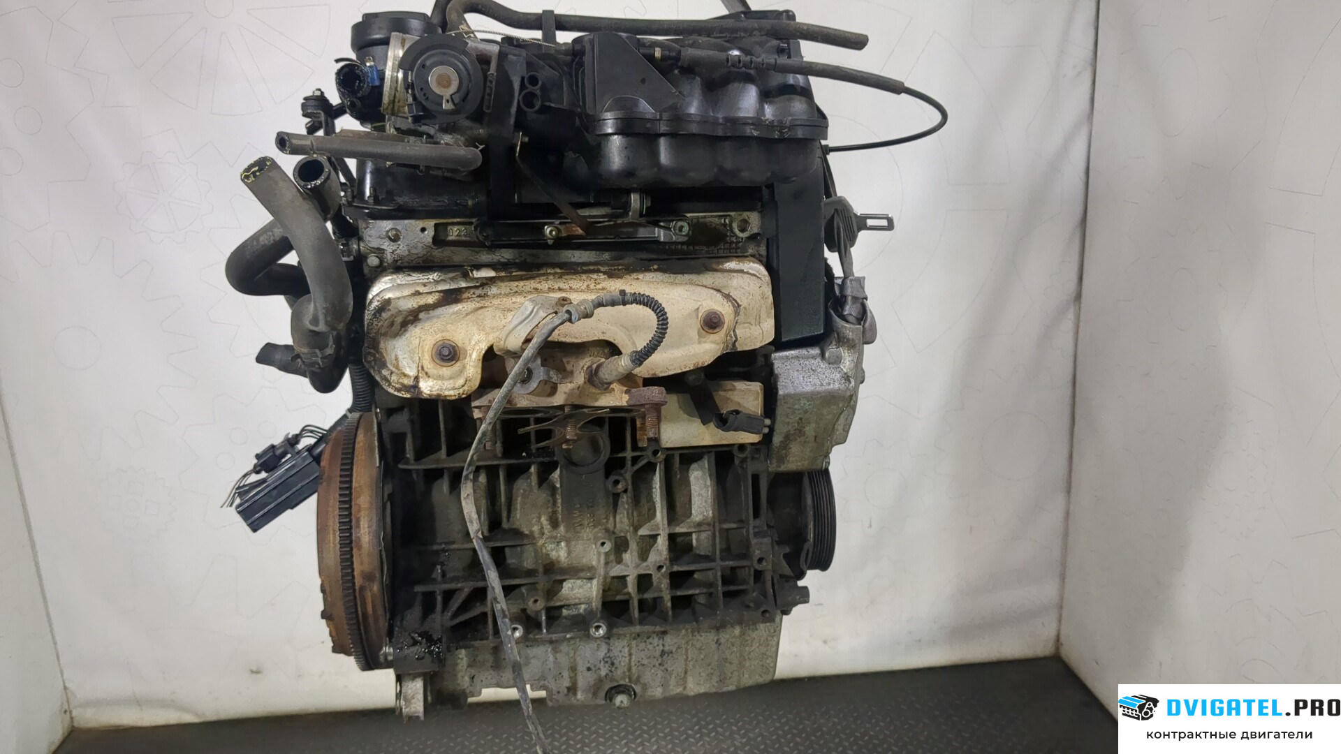 Двигатель Volkswagen Golf 4 1997 - 2005 AKL 1.6 л., Бензин, Инжектор, артикул 8987512