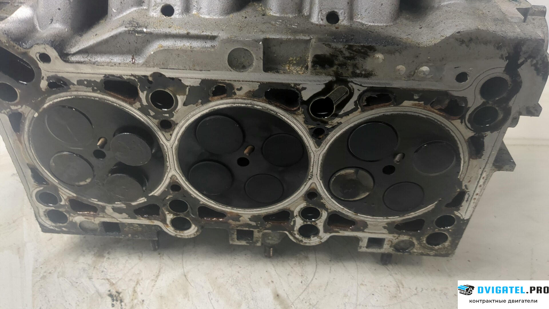 Головка блока цилиндров (ГБЦ) Audi A6 C5 1997 - 2004 BDG 2.5 л., Дизель, TDI, артикул 8950103