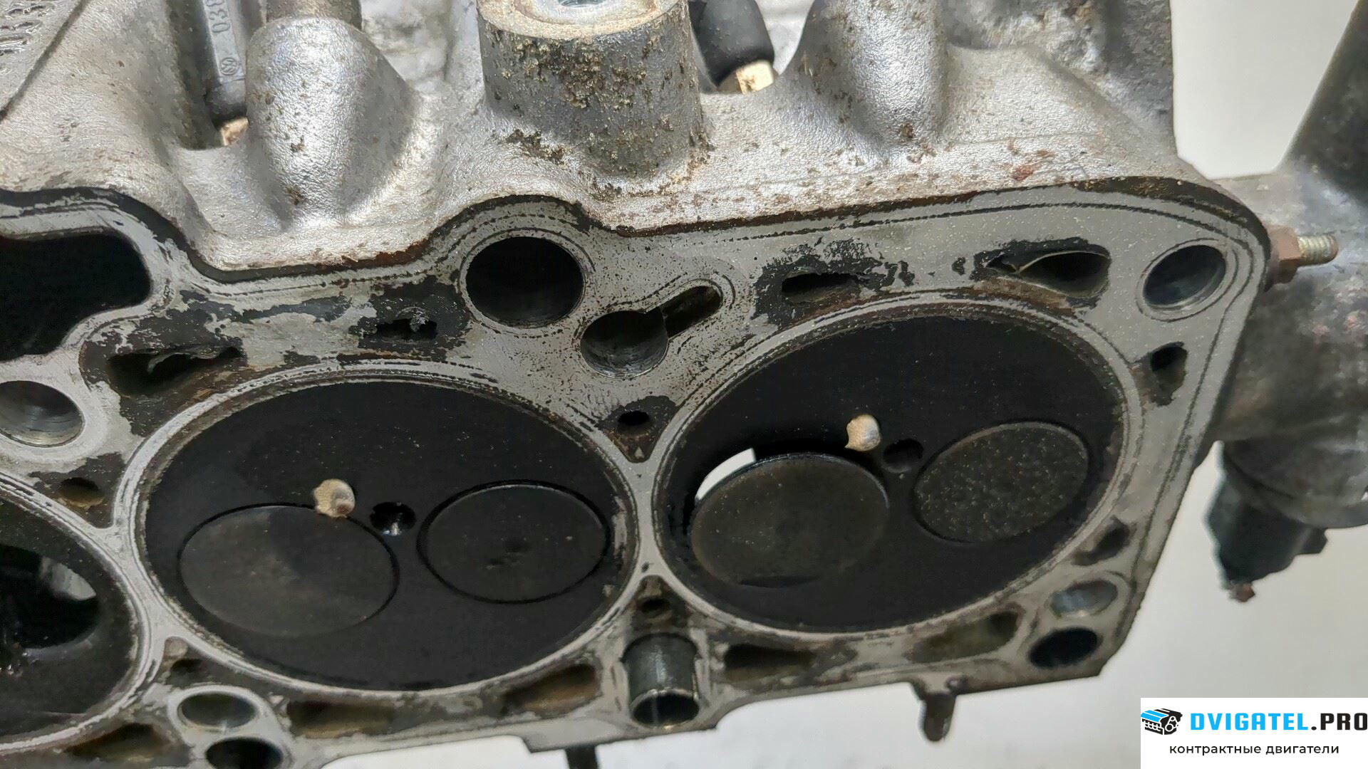 Головка блока цилиндров (ГБЦ) Volkswagen Golf 4 1997 - 2005 ALH 1.9 л., Дизель, TDI, артикул 8464144