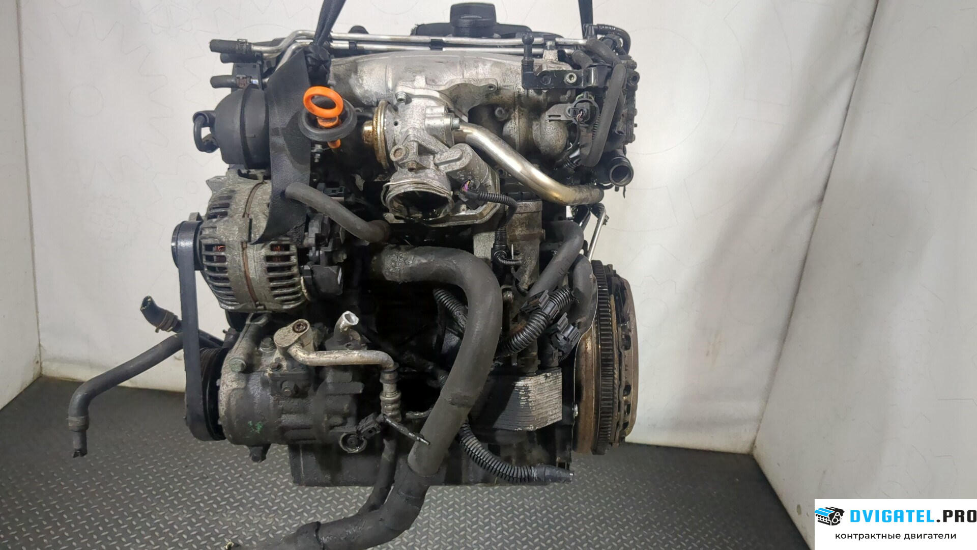 Двигатель Volkswagen Touran 2003 - 2006 BKD 2 л., Дизель, TDI, артикул 9038713