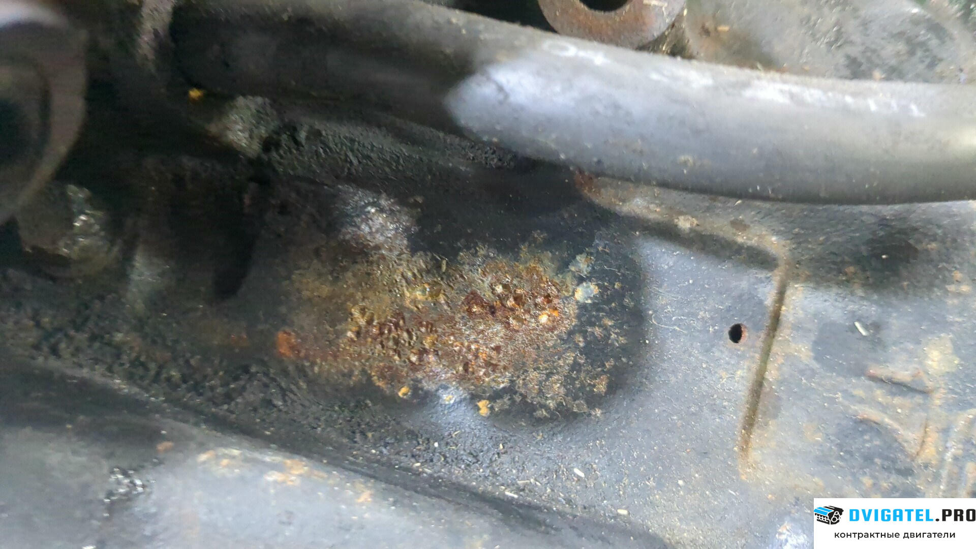 Шорт блок (Блок цилиндров) Renault Scenic 1996 - 2002 F9Q 732 1.9 л., Дизель, DCI, артикул 8958460