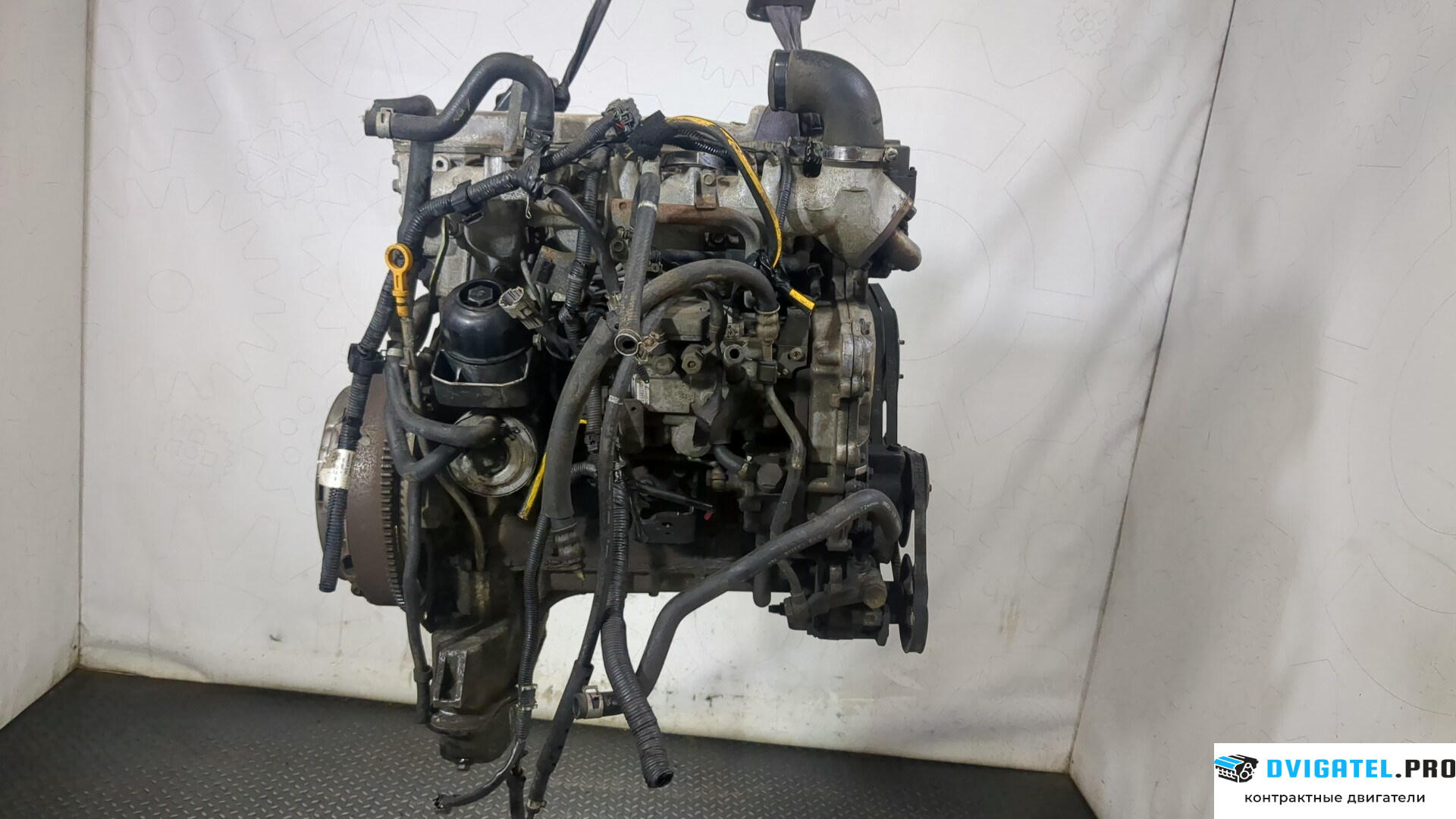 Двигатель Nissan Navara 1997 - 2004 YD25 2.5 л., Дизель, Турбо, артикул 9066159