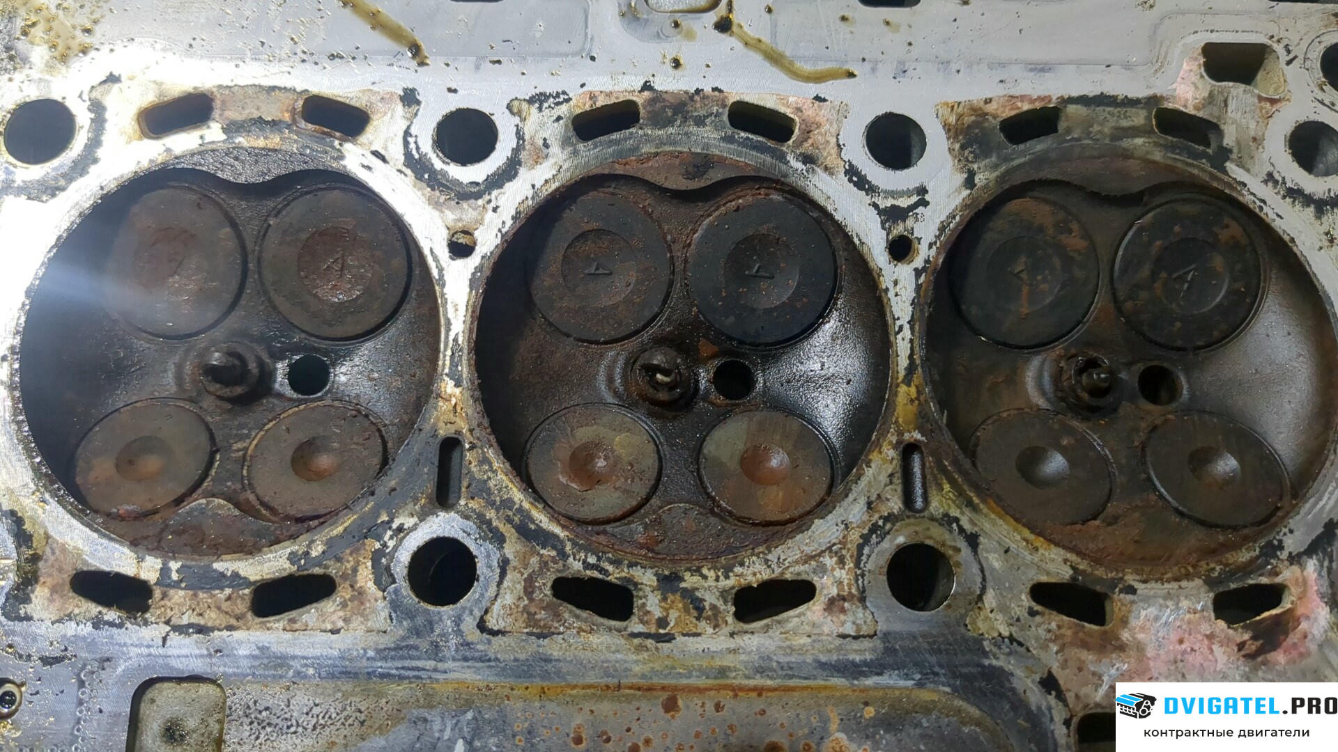 Головка блока цилиндров (ГБЦ) Ford Focus 3 2011 - 2015 M2DA 1 л., Бензин, EcoBoost, артикул 9171570