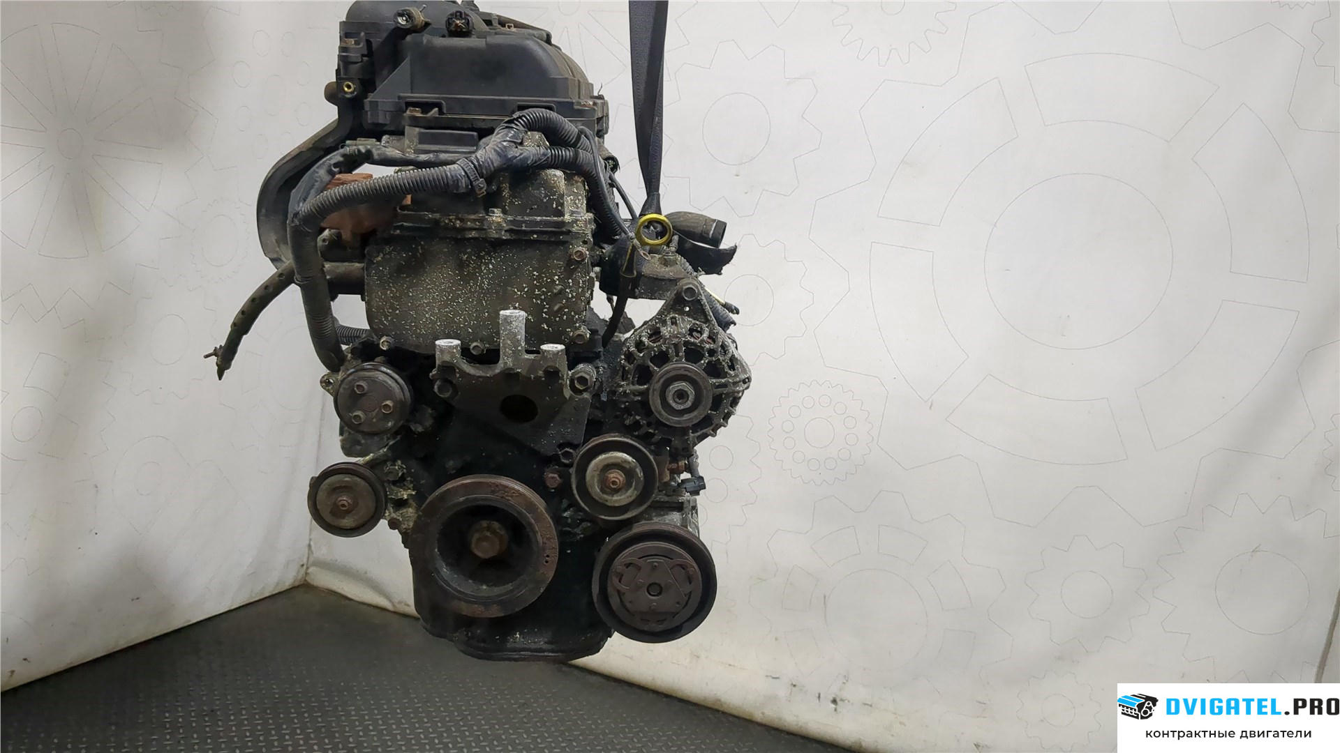 Двигатель Nissan Micra K12E 2003 - 2010 CR14DE 1.4 л., Бензин, Инжектор, артикул 8142229