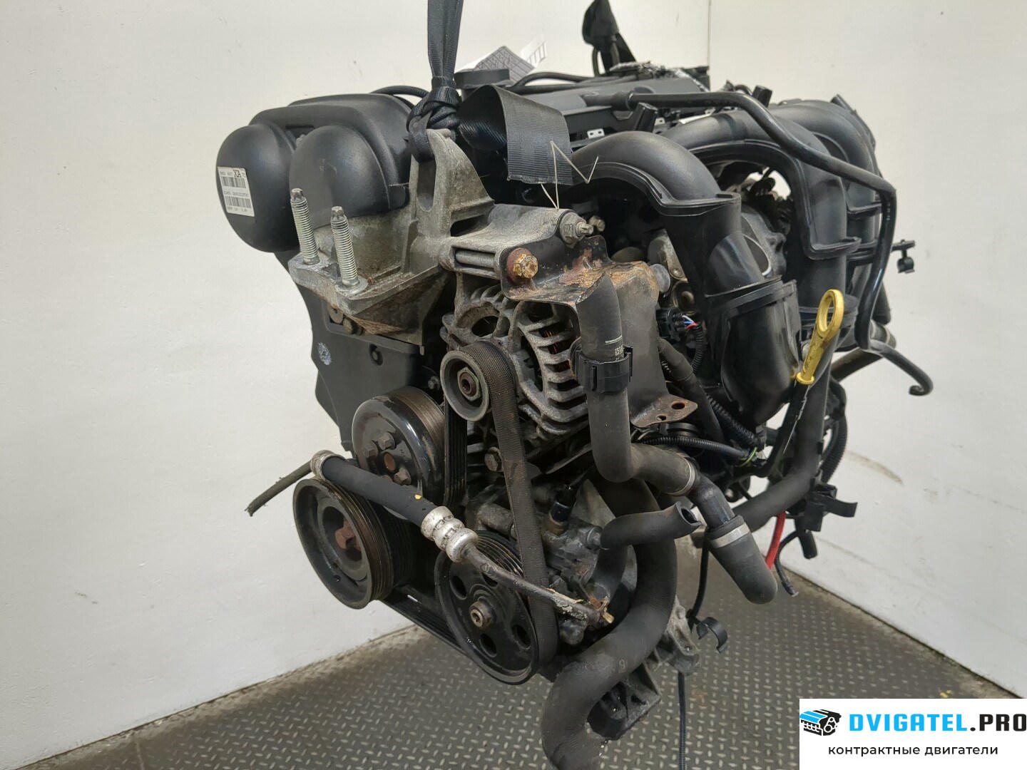 Двигатель Ford Focus 2 2008 - 2011 SHDA, SHDC 1.6 л., Бензин, Инжектор, артикул 9237000