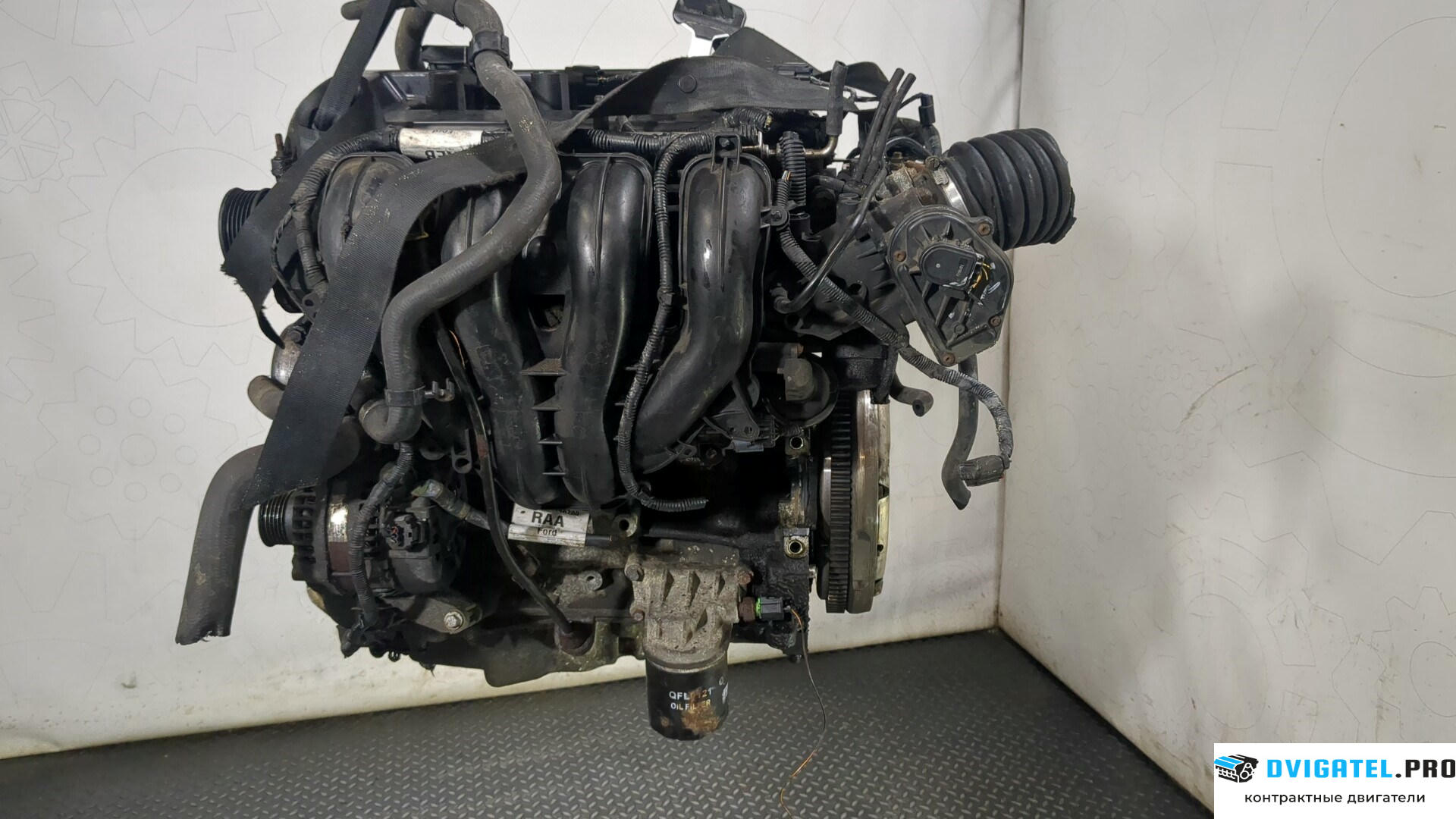 Двигатель Ford Focus 2 2008 - 2011 AODA, AODE 2 л., Бензин, Инжектор, артикул 8731115