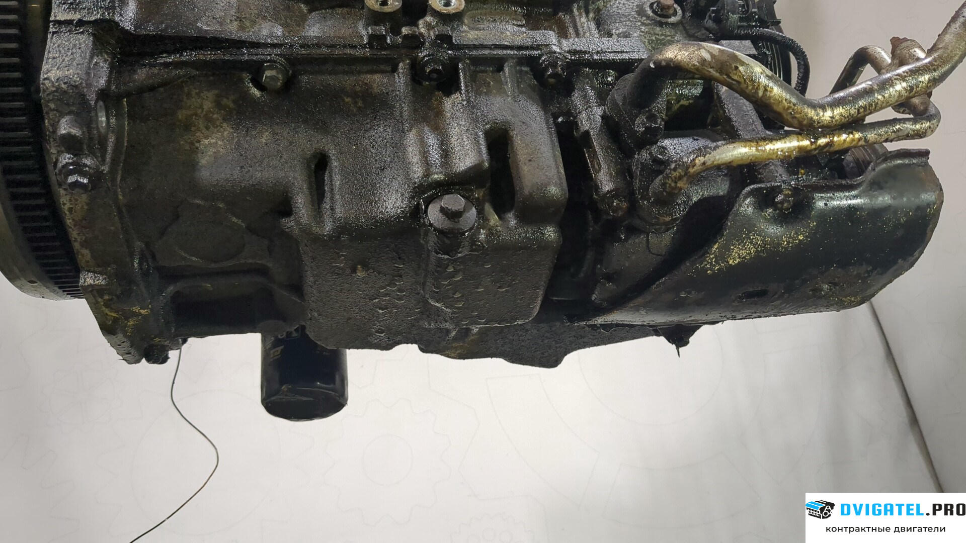Двигатель Ford Focus 2 2008 - 2011 AODA, AODE 2 л., Бензин, Инжектор, артикул 8731115