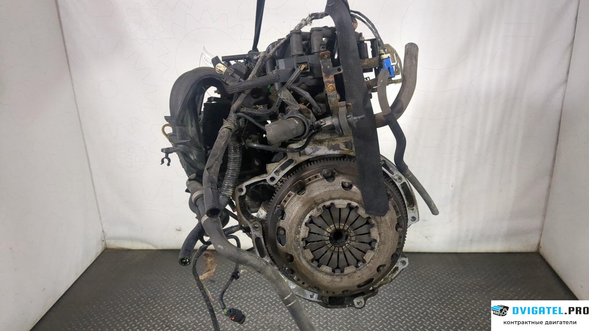 Двигатель Ford Focus 2 2008 - 2011 ASDA 1.4 л., Бензин, Инжектор, артикул 8955570