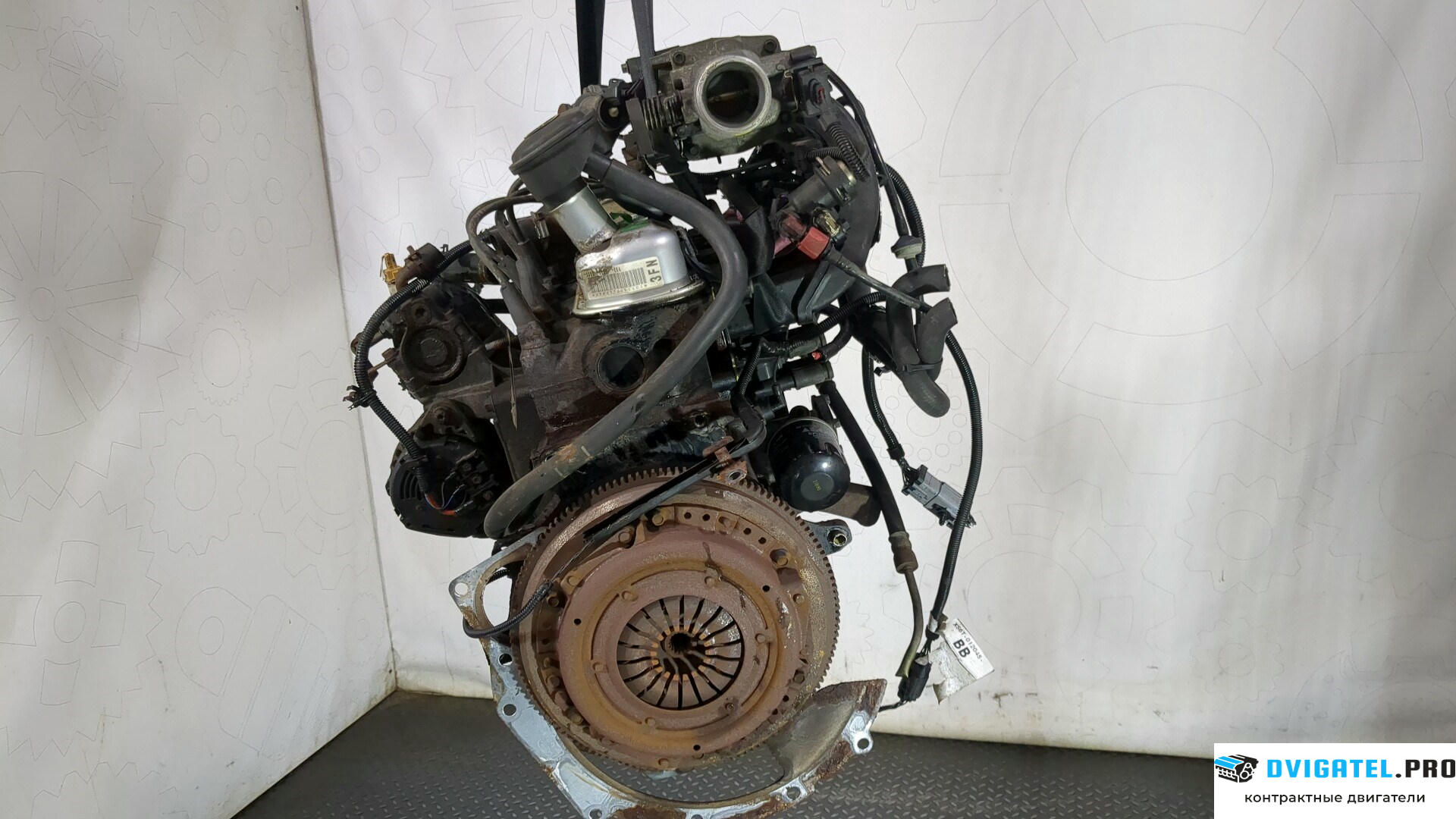 Двигатель Ford Fiesta 1995 - 2000 JJ… 1.3 л., Бензин, Инжектор, артикул 8978517