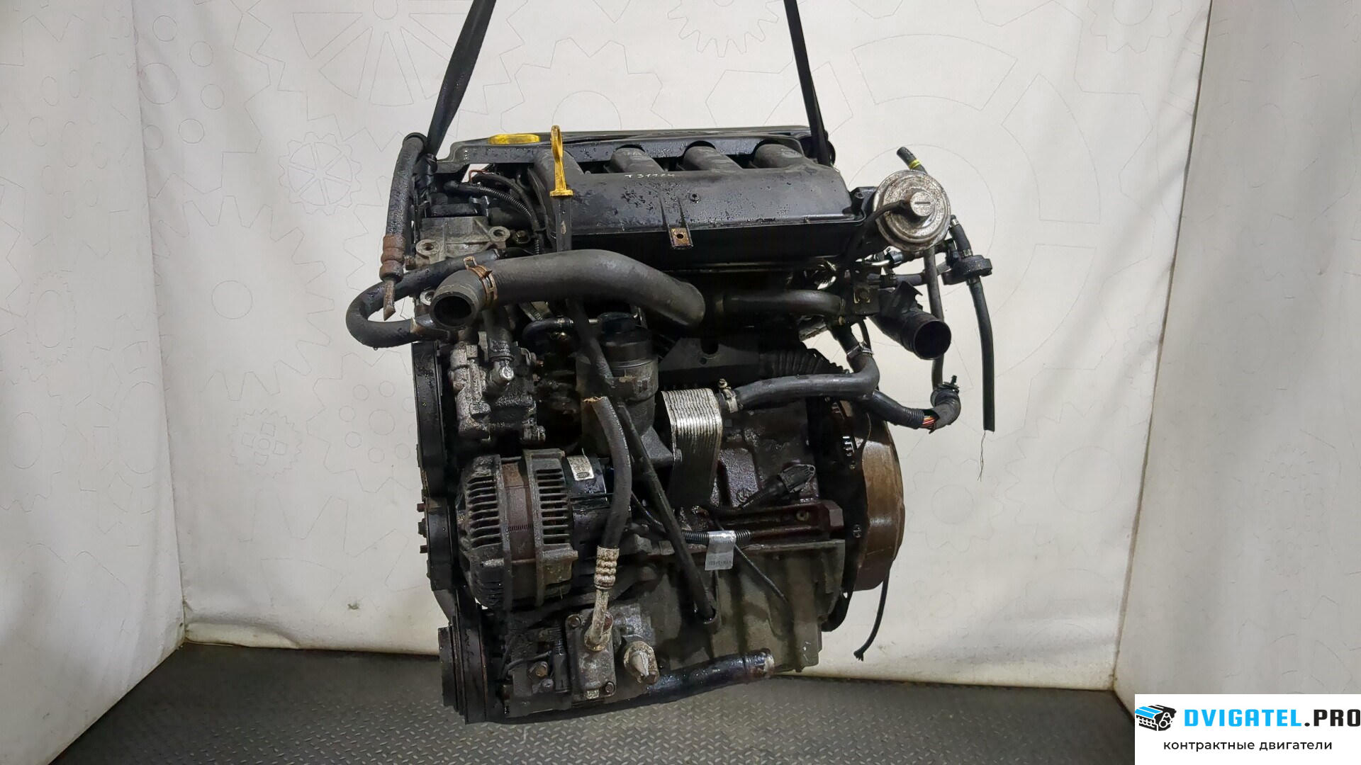 Двигатель Land Rover Freelander 1 1998 - 2007 TD4 204D3 2 л., Дизель, Турбо, артикул 8328433