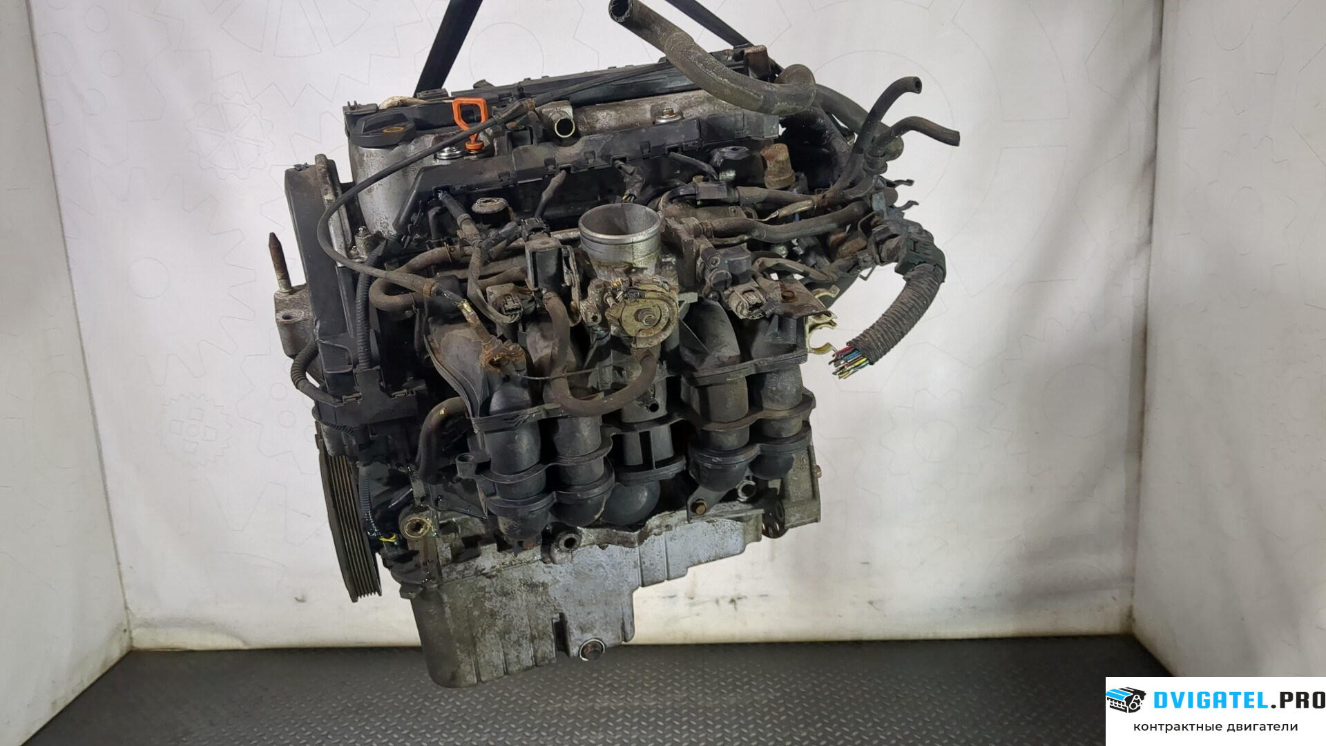 Двигатель Honda Civic 2001 - 2005 D16V1 1.6 л., Бензин, Инжектор, артикул 8806491