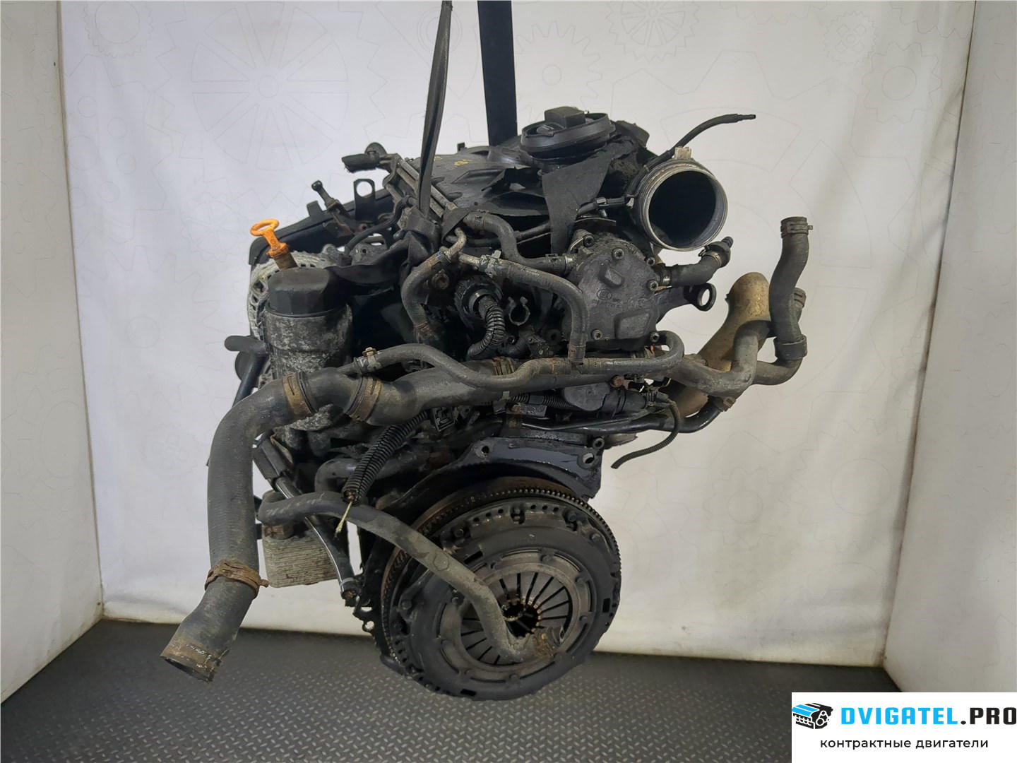 Двигатель Audi A3 8L 1996 - 2003 ASZ 1.9 л., Дизель, TDI, артикул 7739736