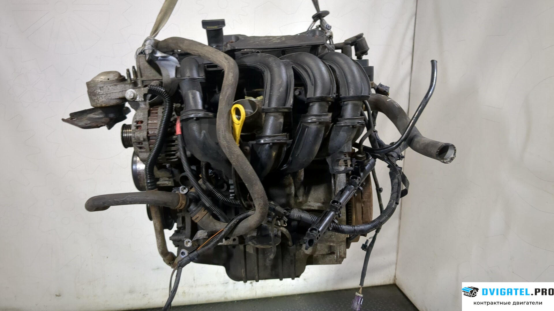 Двигатель Ford Fiesta 2001 - 2007 FXJ… 1.4 л., Бензин, Инжектор, артикул 9261564