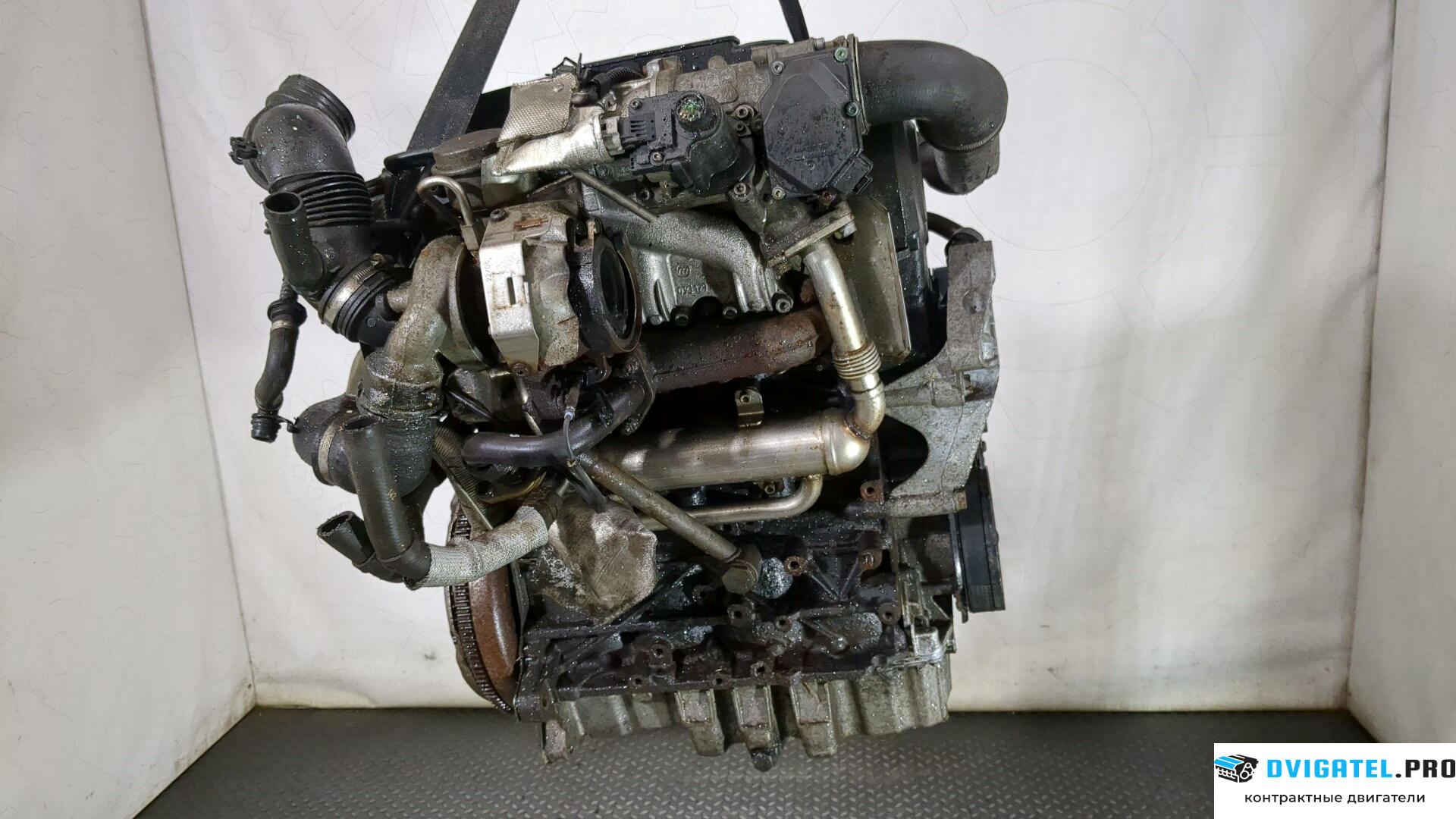 Двигатель Seat Leon 2 2005 - 2009 BLS 1.9 л., Дизель, TDI, артикул 8849536