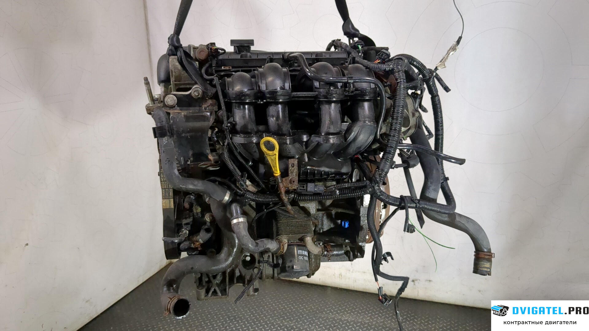 Двигатель Ford Focus 2 2005 - 2008 HXDA, HXDB 1.6 л., Бензин, Ti-VCT, артикул 9249288