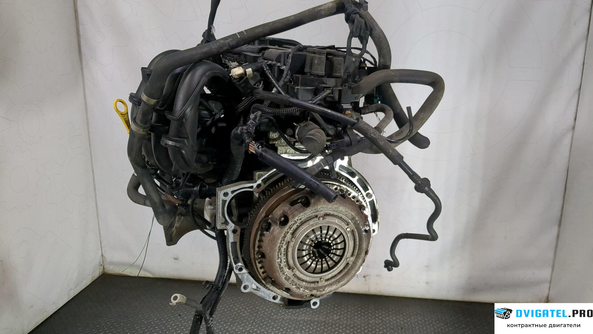 Двигатель Ford Focus 2 2008 - 2011 SHDA, SHDC 1.6 л., Бензин, Инжектор, артикул 9163931