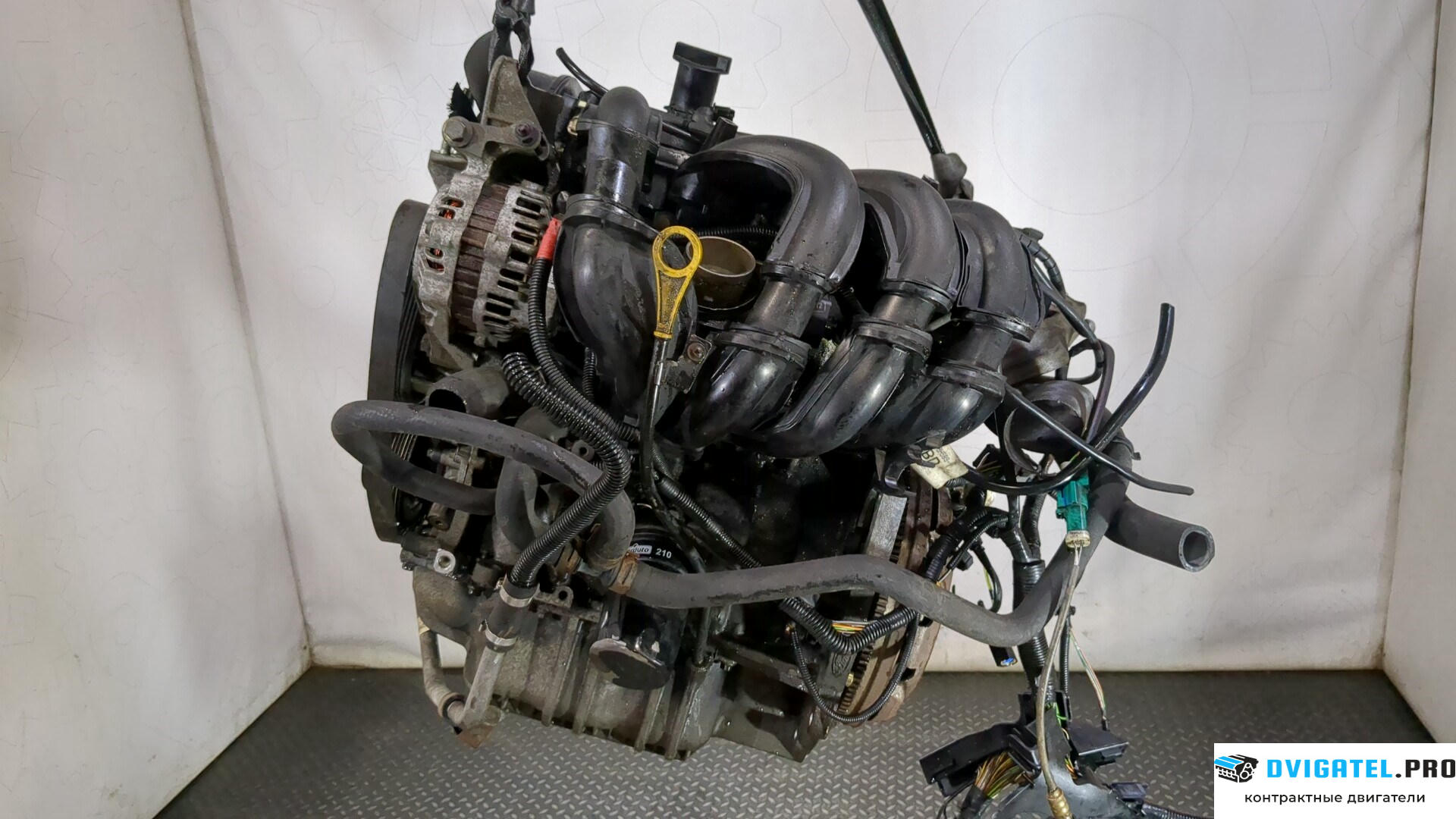 Двигатель Ford Fusion 2002 - 2012 FYJA, FYJB, FYJC 1.6 л., Бензин, Инжектор, артикул 9248899