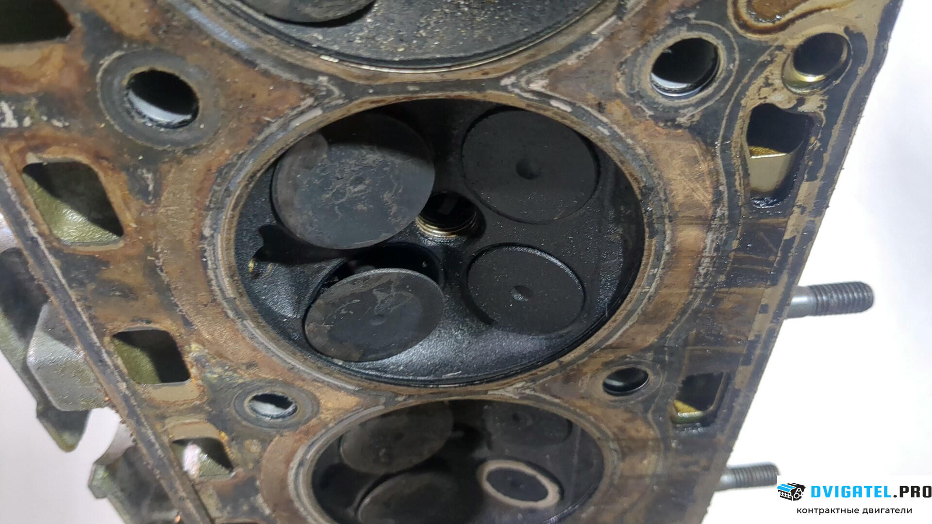 Головка блока цилиндров (ГБЦ) Volkswagen Golf 6 2009 - 2012 CAXA 1.4 л., Бензин, TSI, артикул 8933648