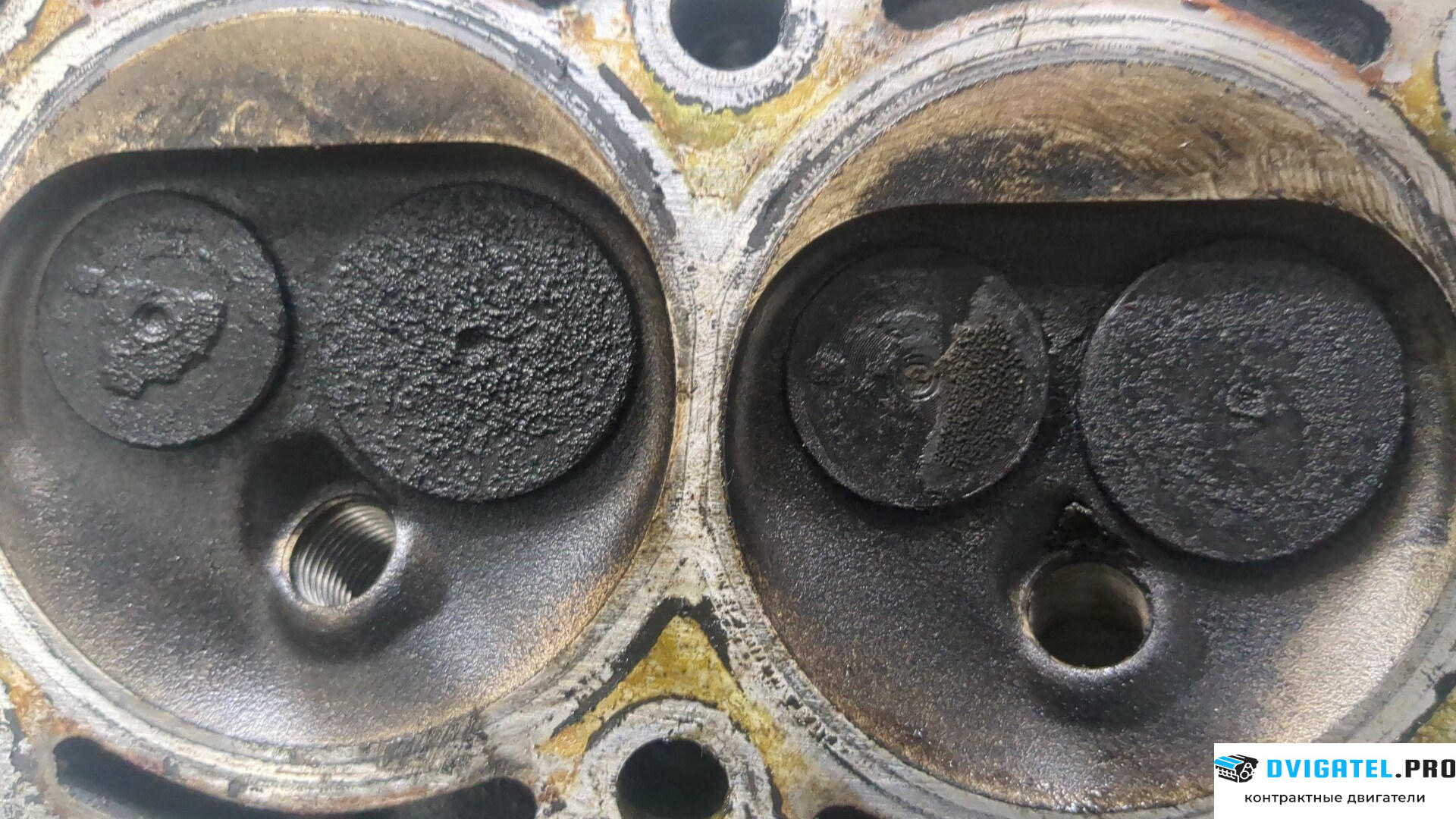 Головка блока цилиндров (ГБЦ) Volkswagen Polo 2005 - 2009 BMD 1.2 л., Бензин, Инжектор, артикул 9212814